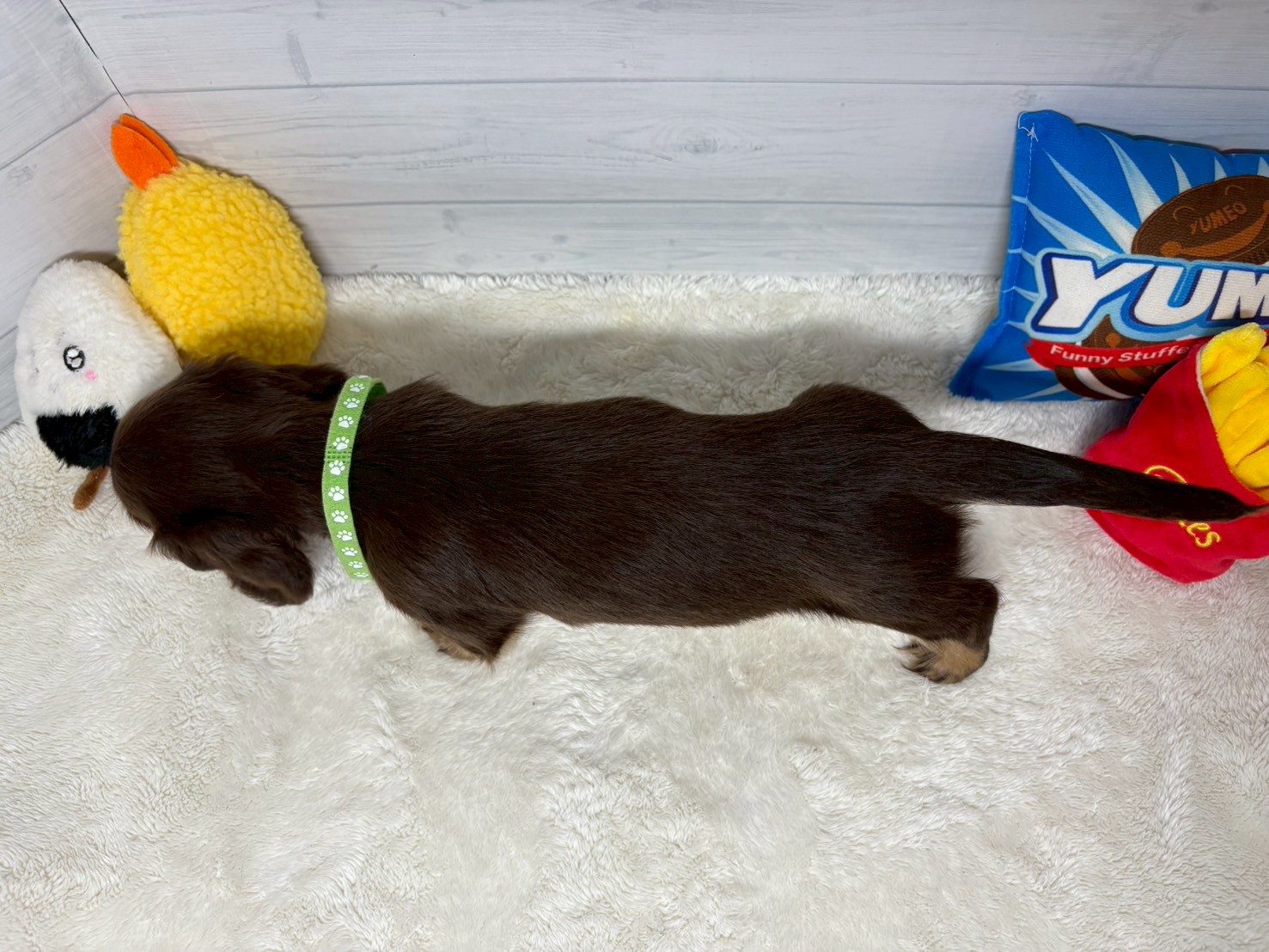 赤ちゃん写真3-3