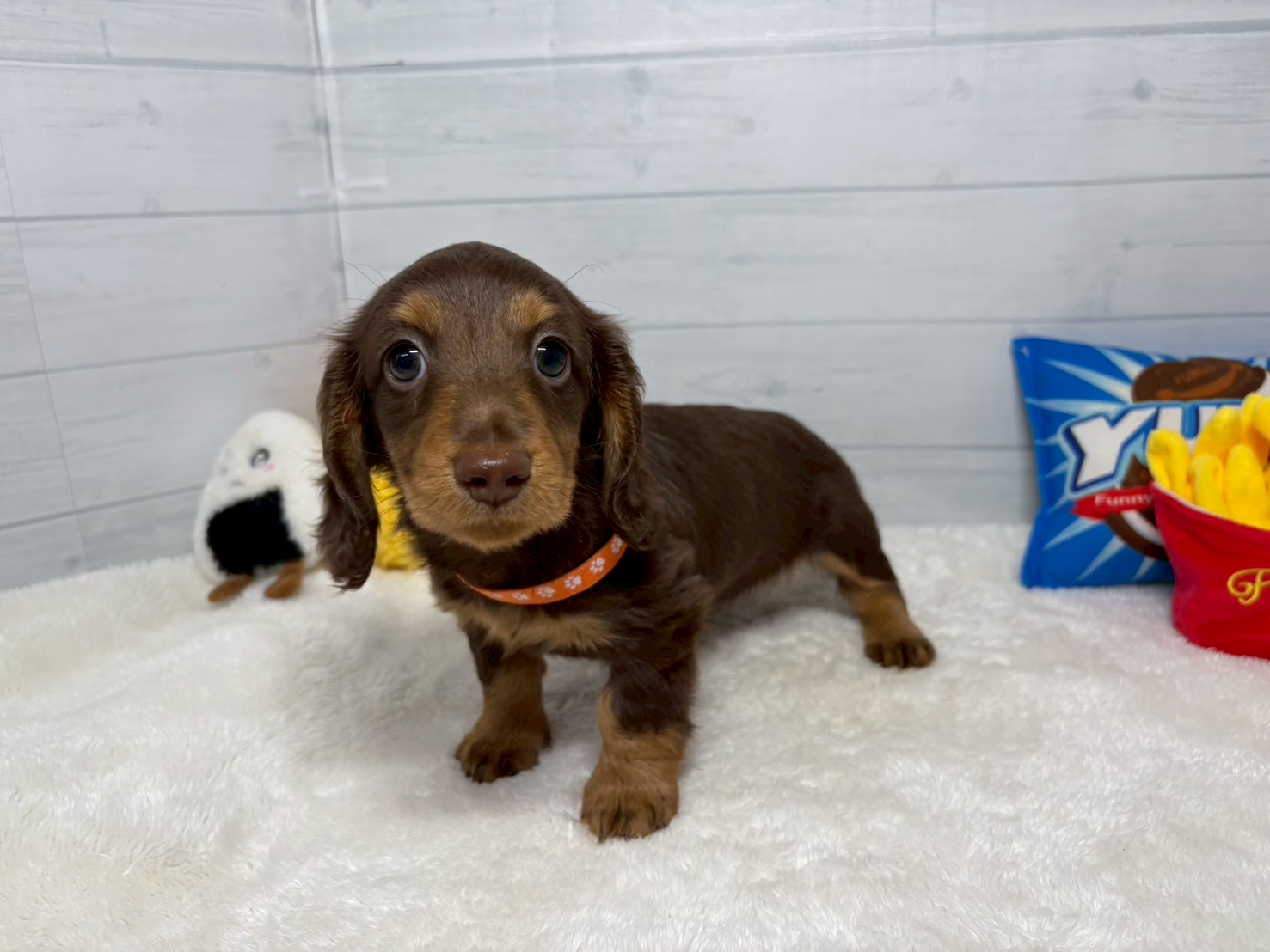 赤ちゃん写真3-1