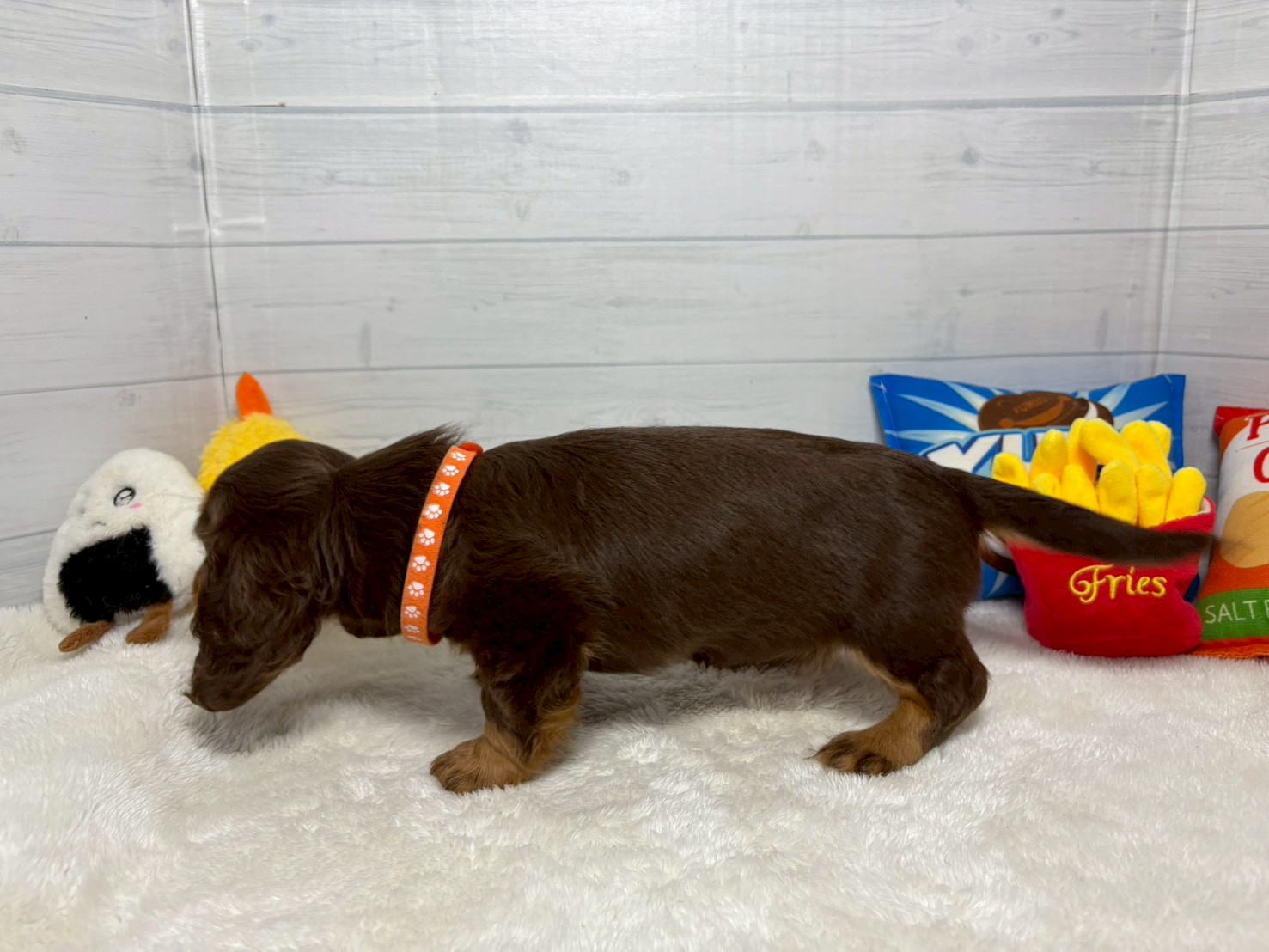 赤ちゃん写真3-2