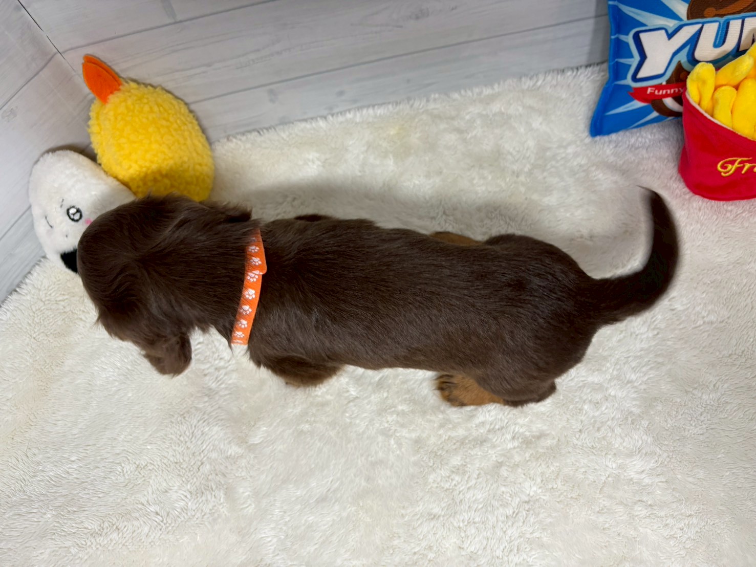 赤ちゃん写真3-3