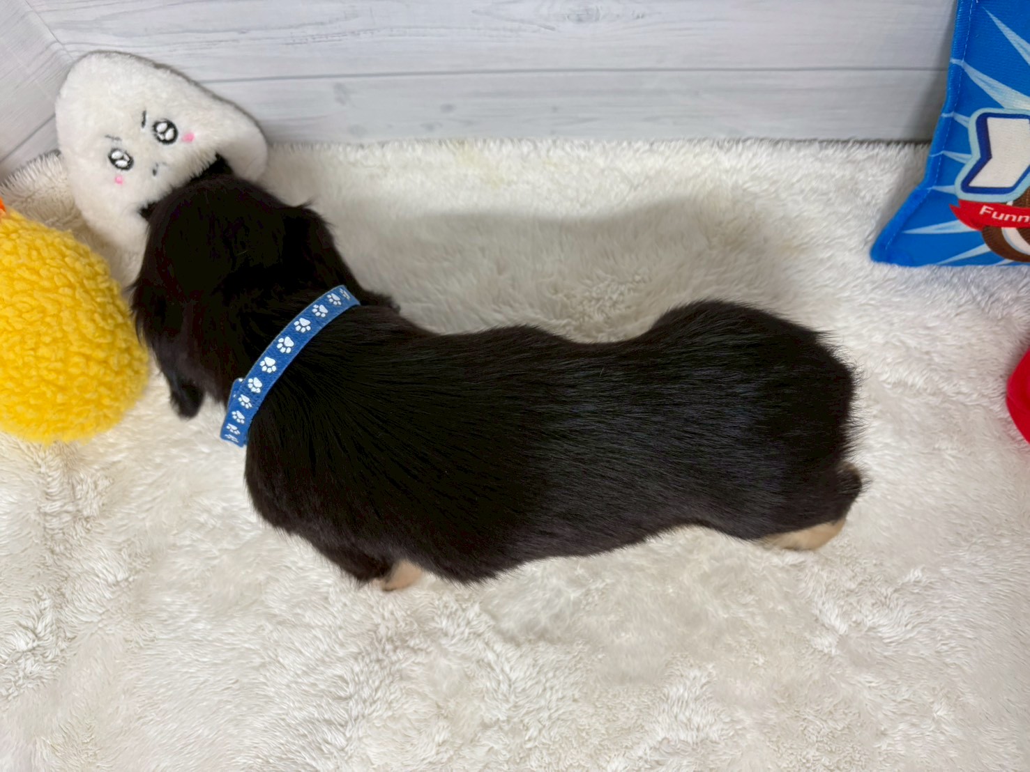 赤ちゃん写真3-3