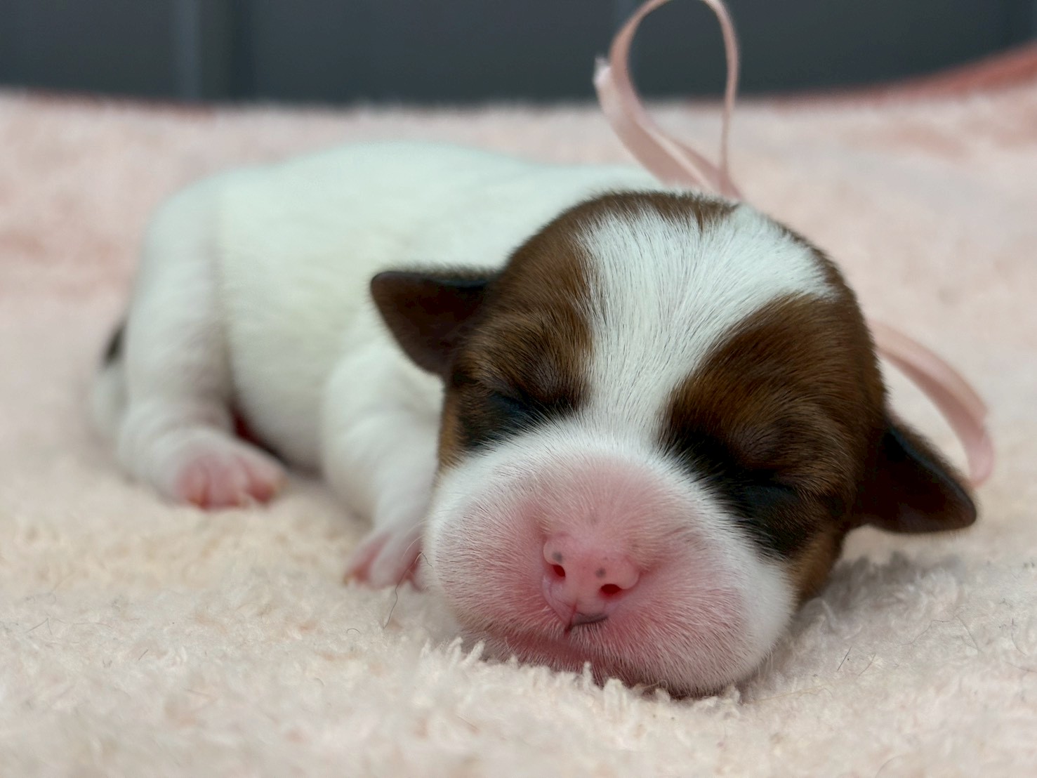 赤ちゃん写真1-1