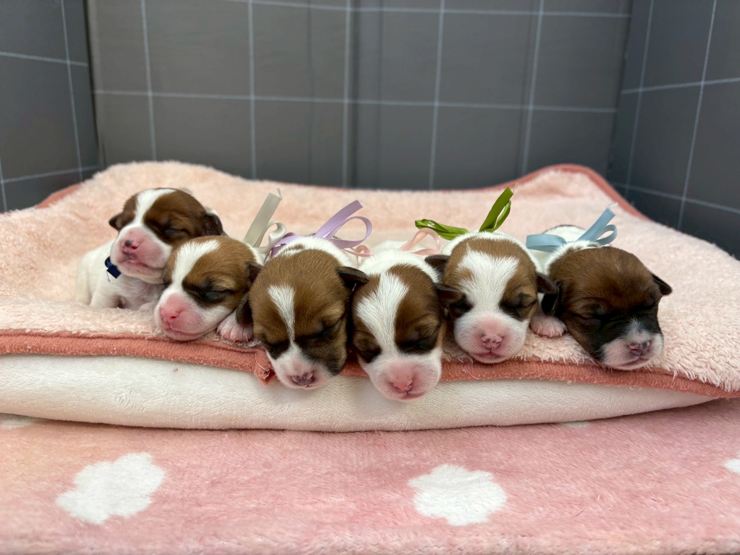 赤ちゃん写真1-3