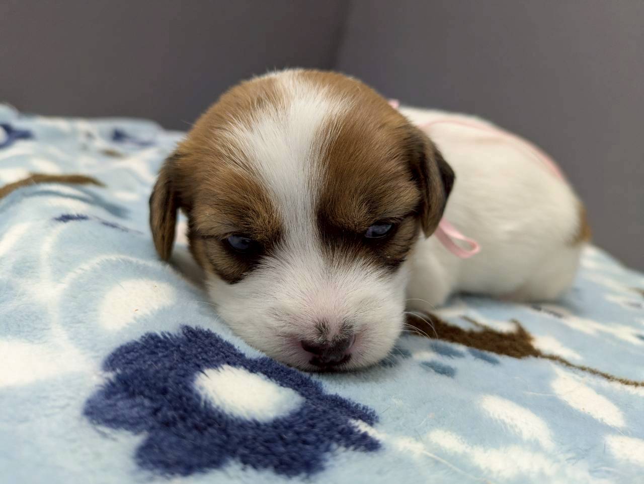 赤ちゃん写真2-1