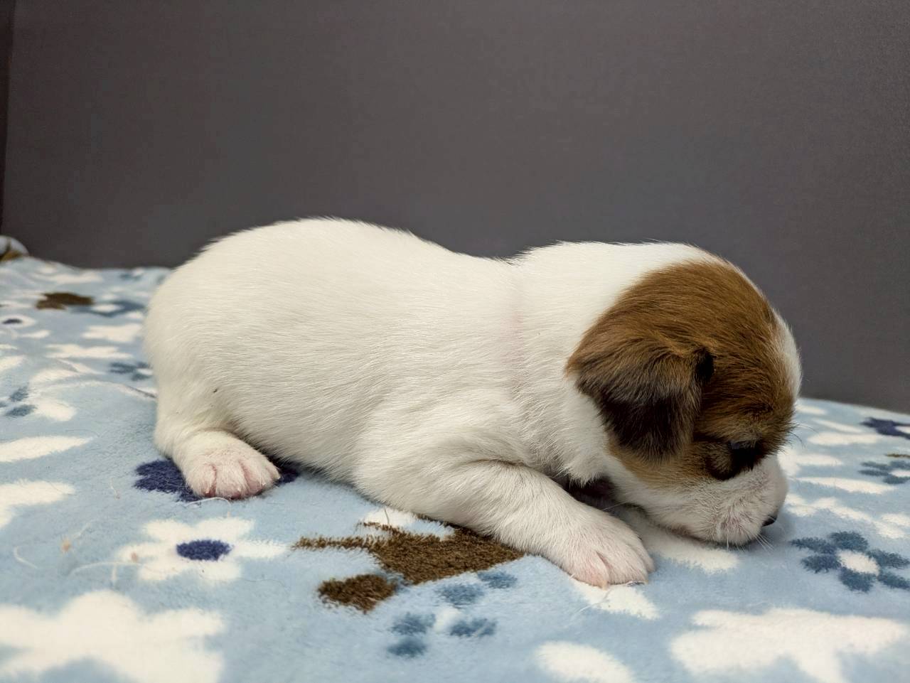 赤ちゃん写真2-2