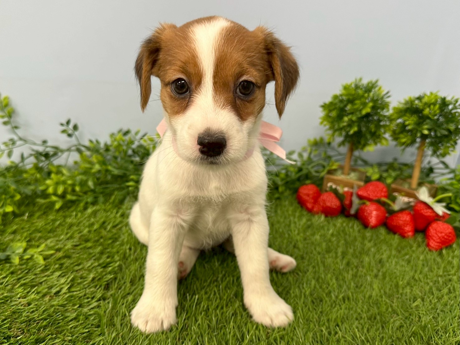 赤ちゃん写真3-1