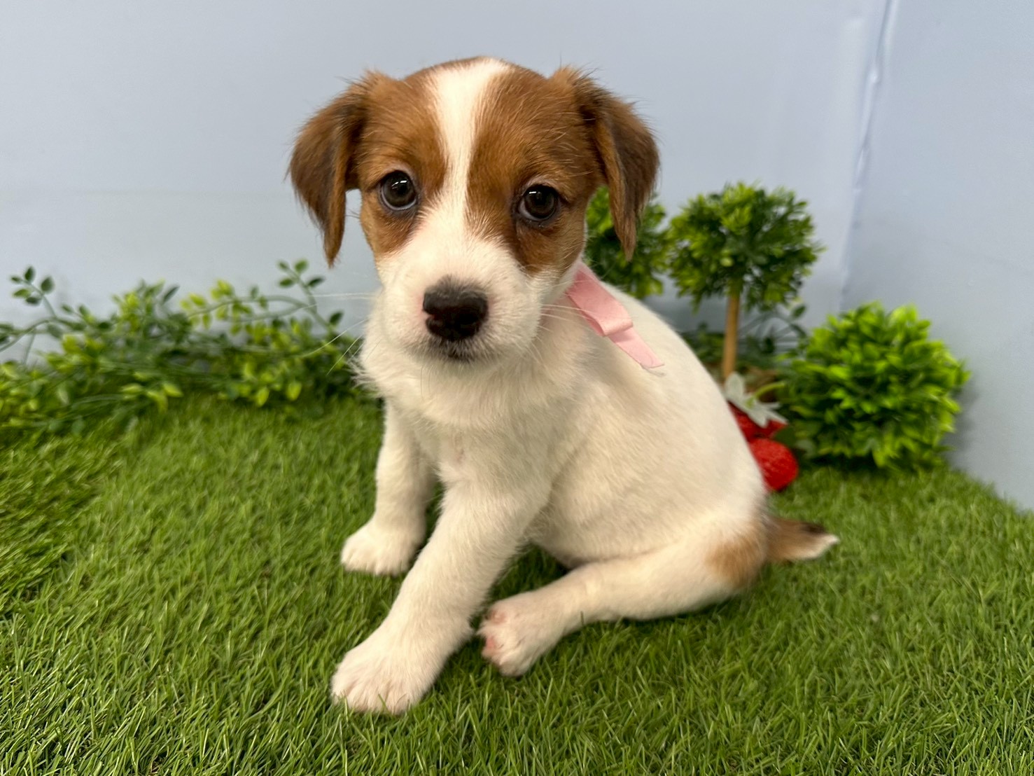 赤ちゃん写真3-2