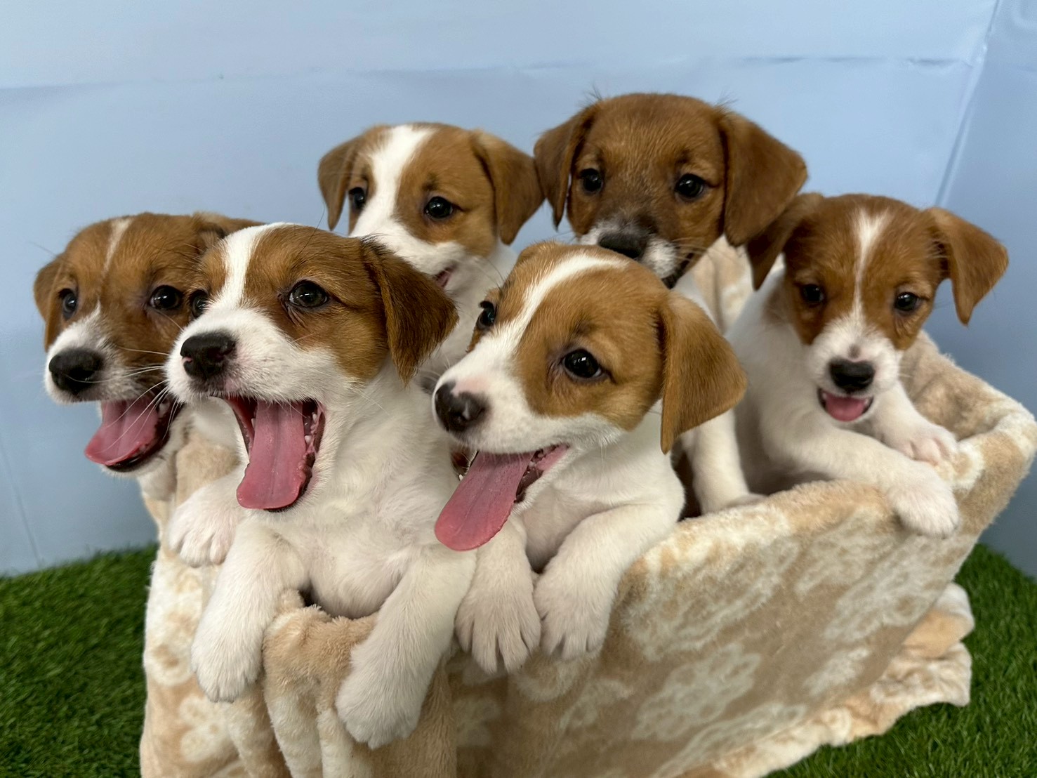 赤ちゃん写真3-3