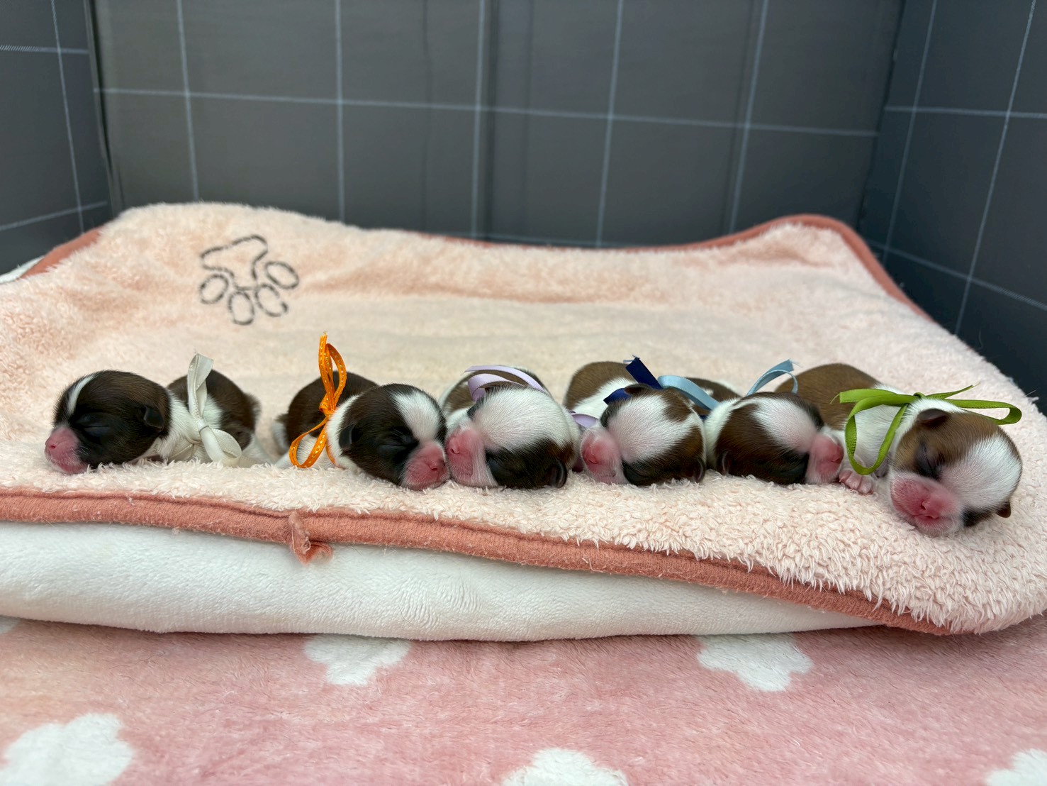 赤ちゃん写真1-3