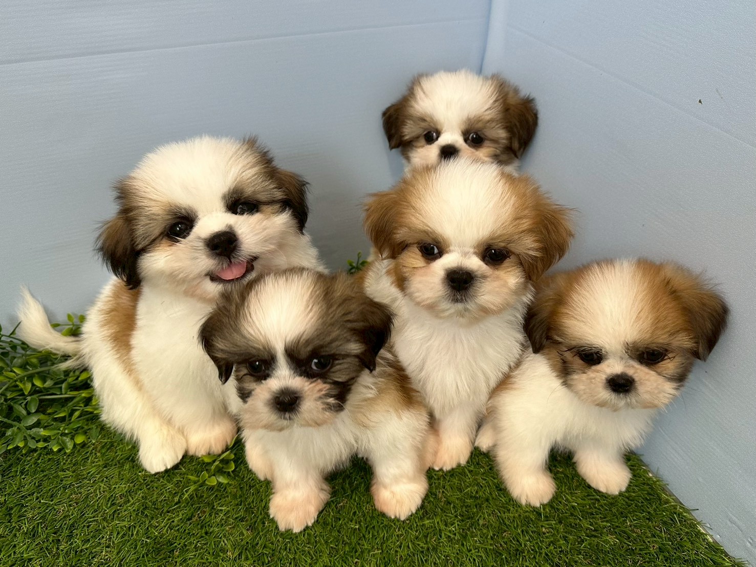 赤ちゃん写真3-3