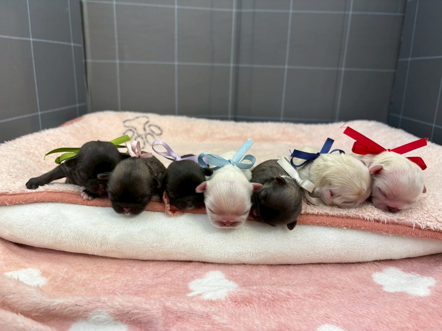 赤ちゃん写真1-3
