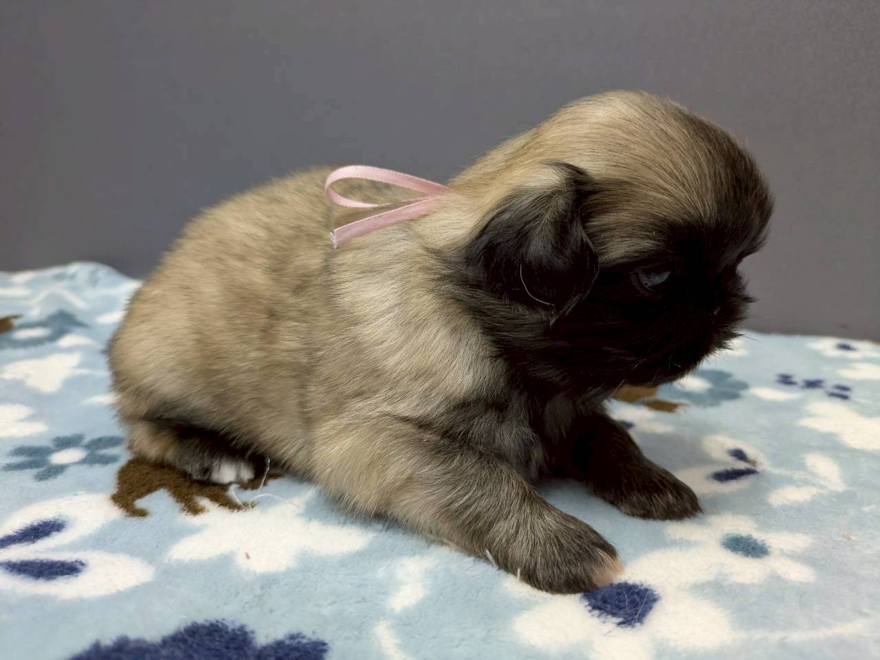 赤ちゃん写真2-2