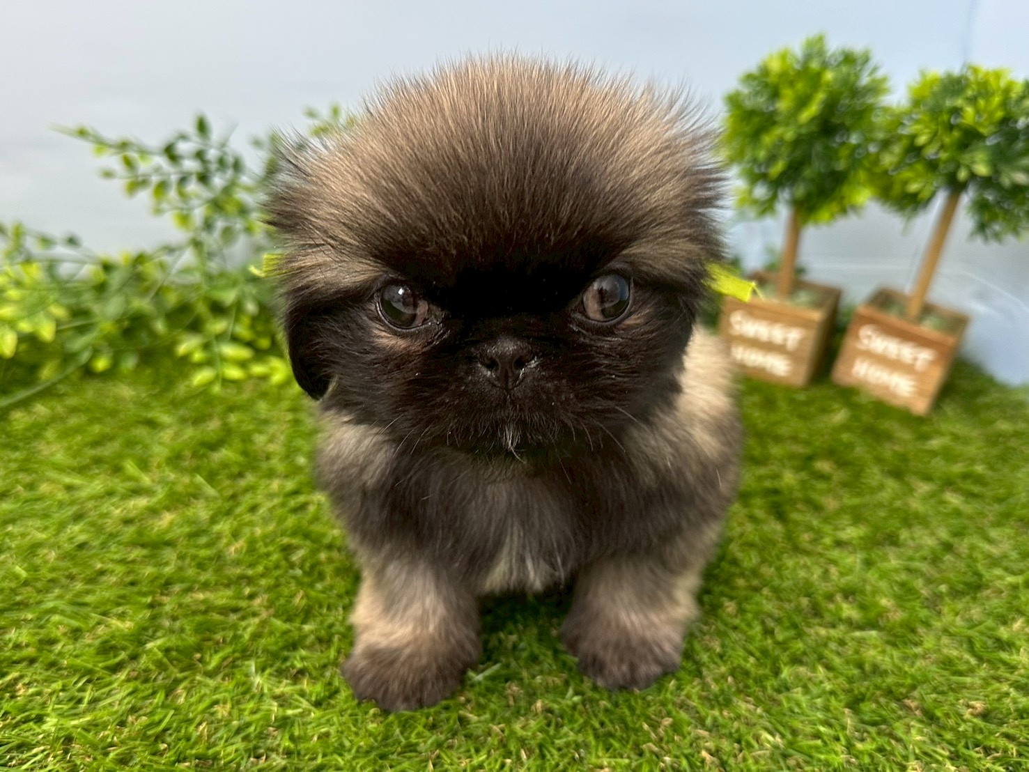 赤ちゃん写真3-1