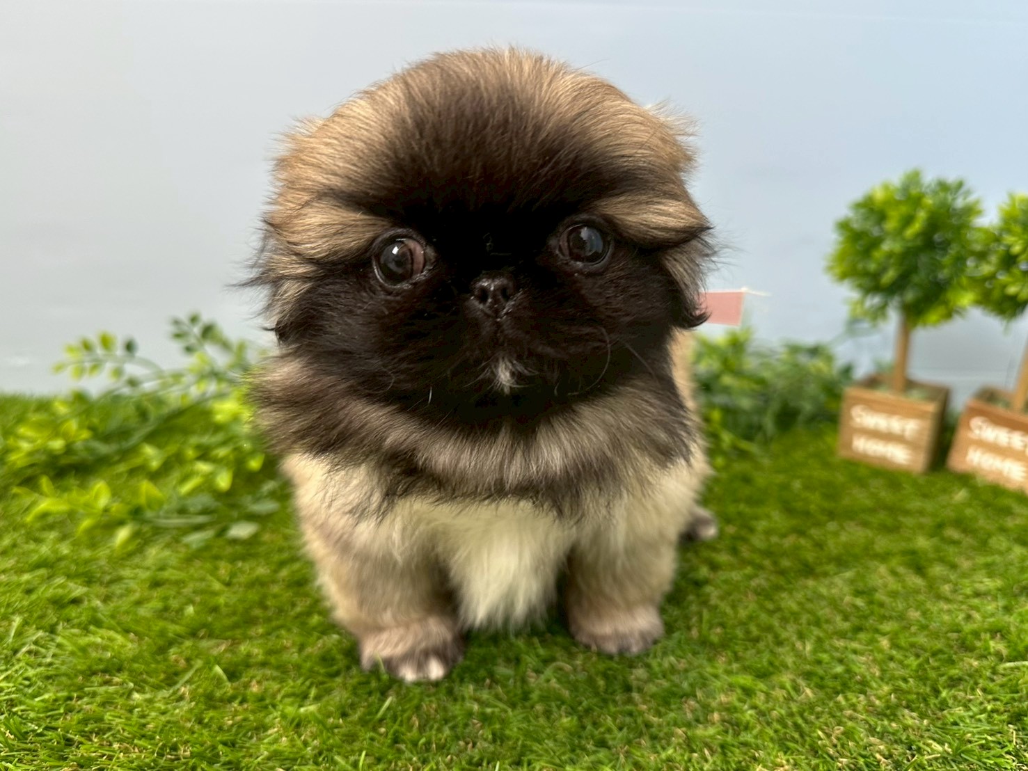 赤ちゃん写真3-1