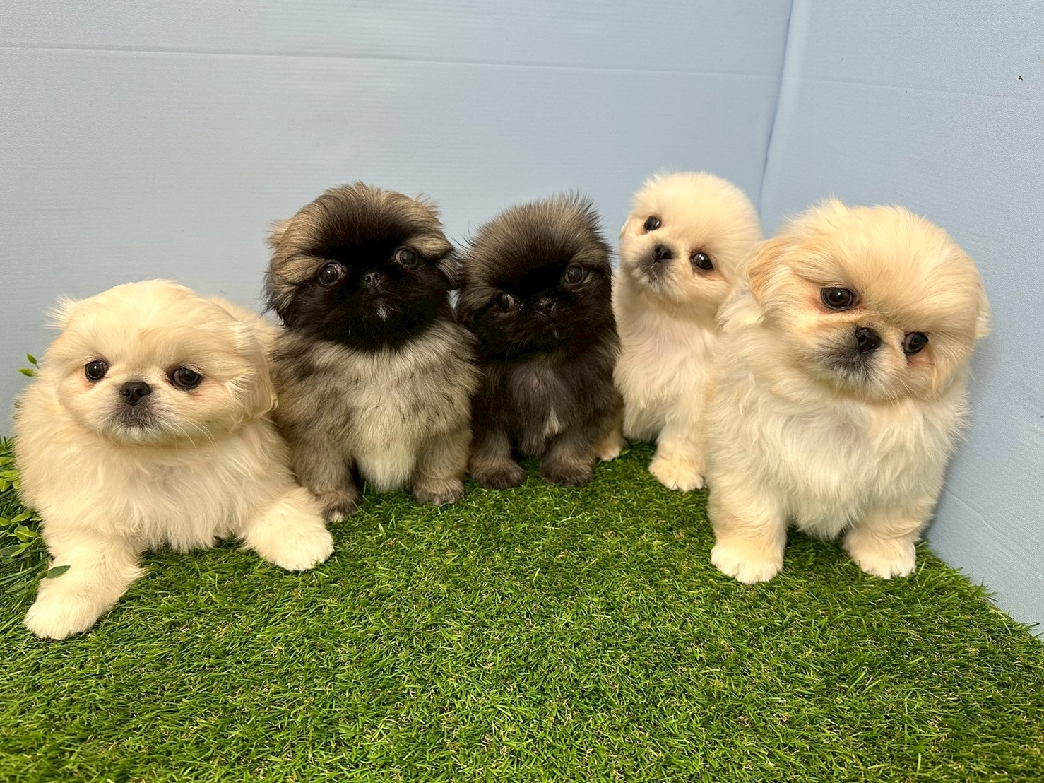 赤ちゃん写真3-3