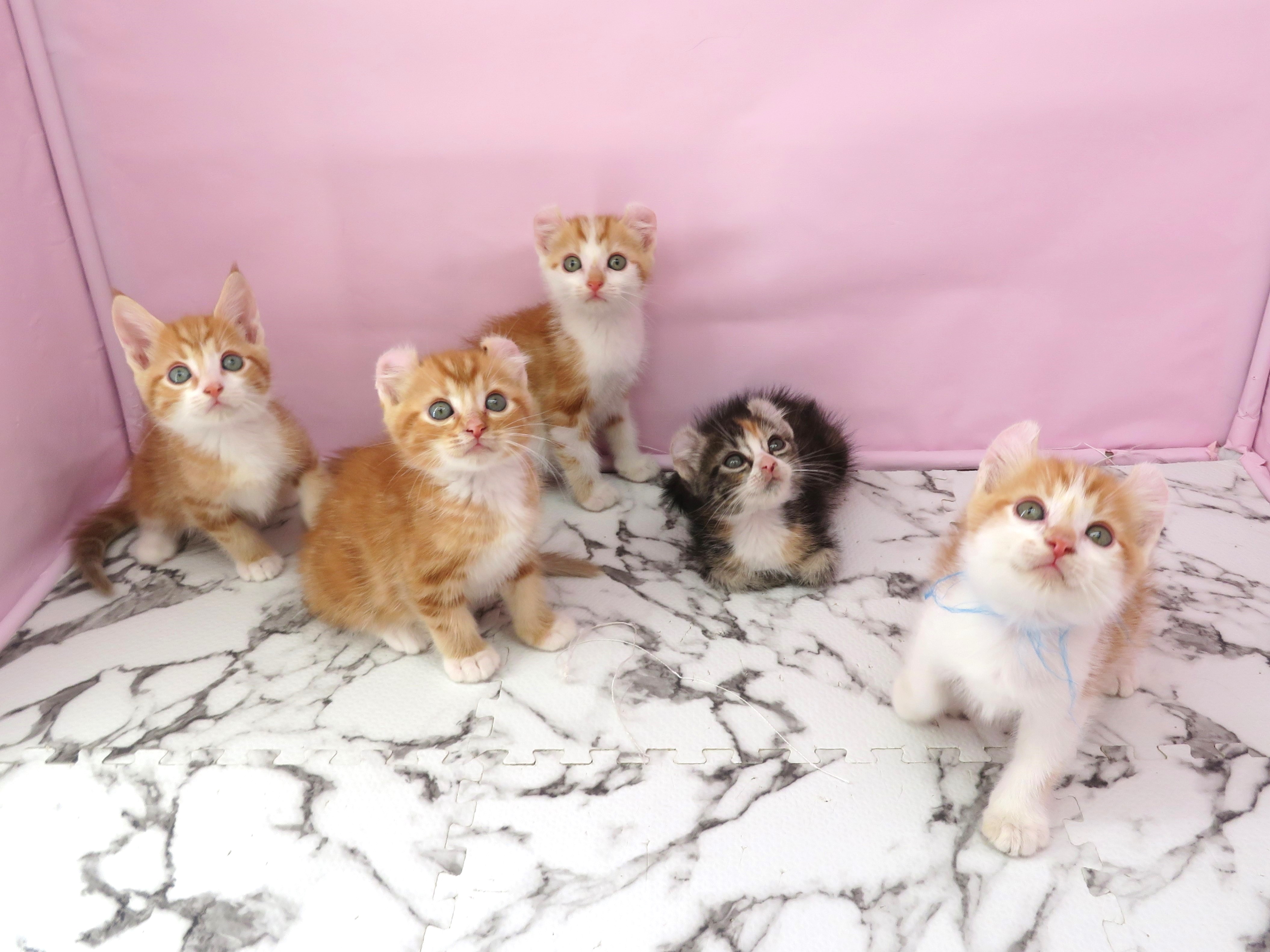 赤ちゃん写真2-3