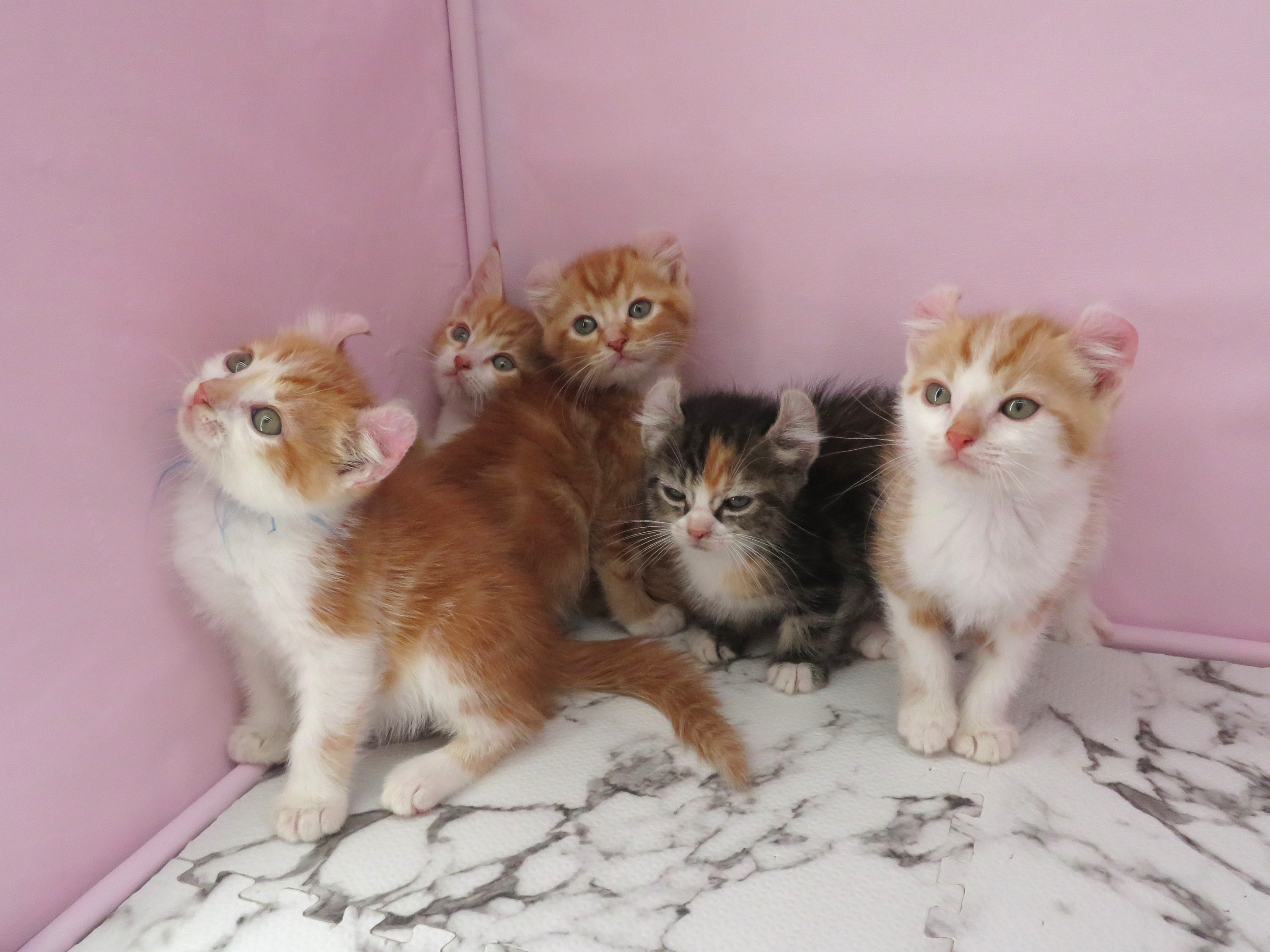 赤ちゃん写真3-3