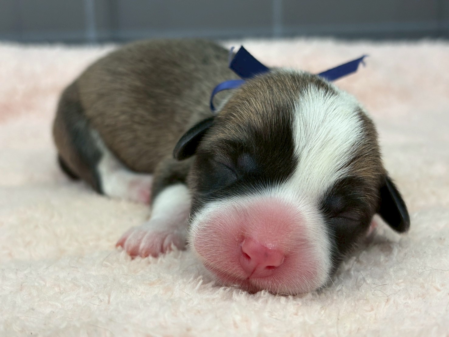 赤ちゃん写真1-1