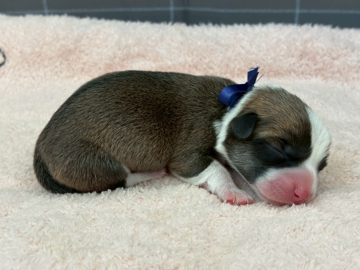 赤ちゃん写真1-2