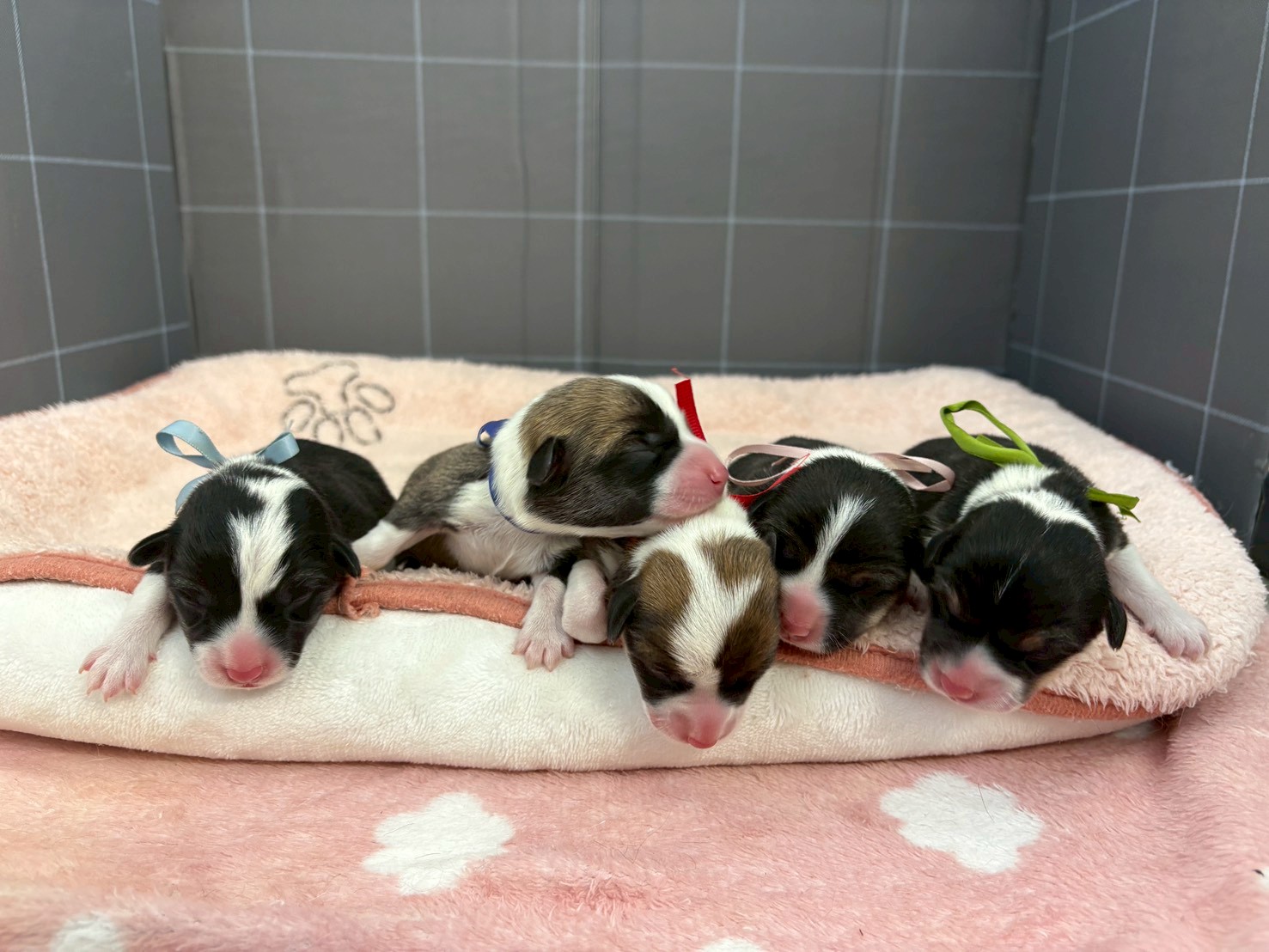 赤ちゃん写真1-3