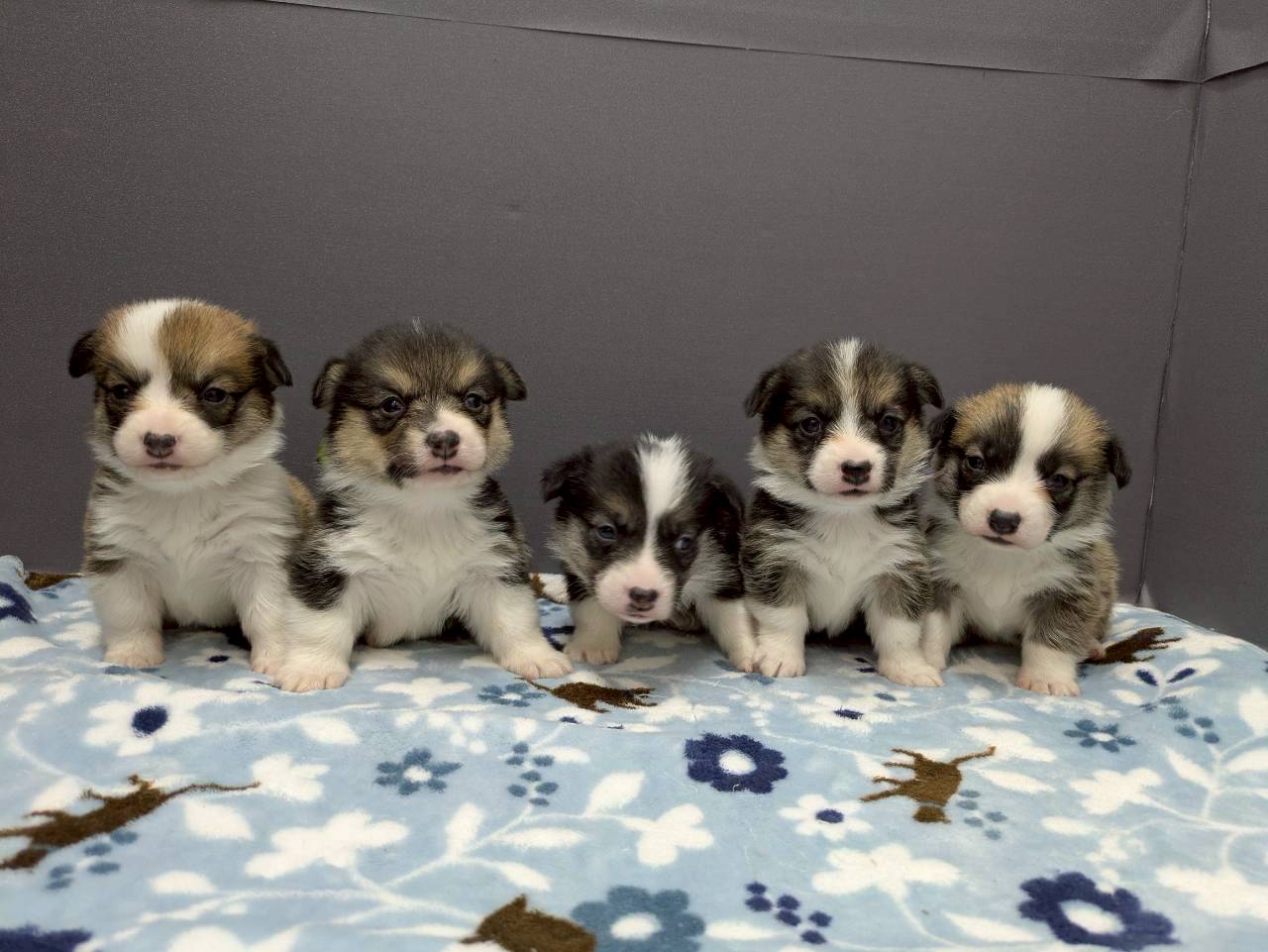 赤ちゃん写真2-3