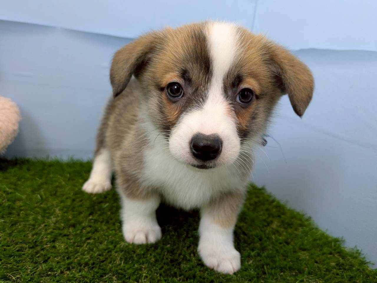 赤ちゃん写真3-1