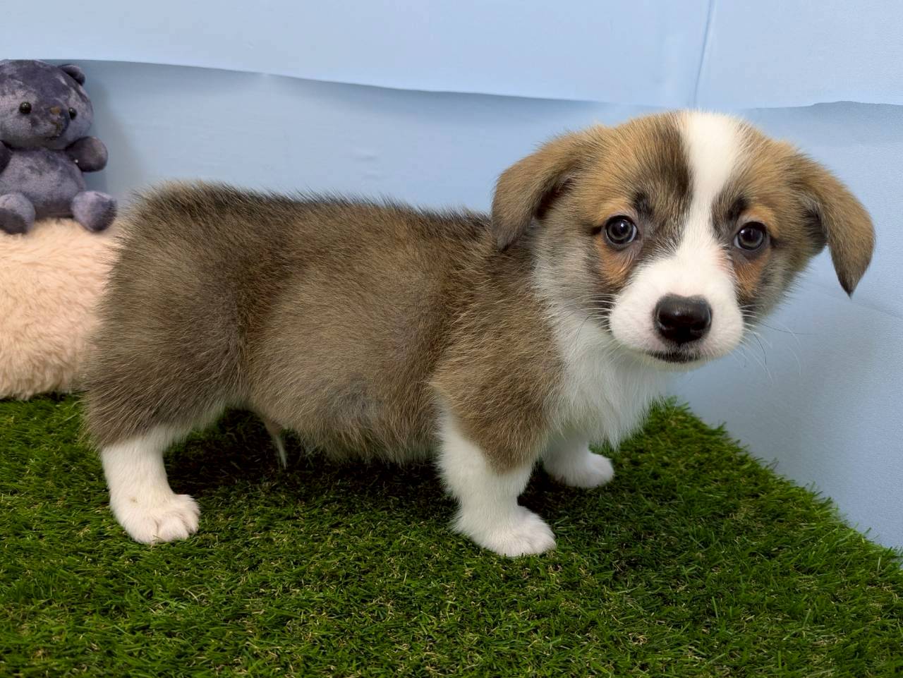 赤ちゃん写真3-2