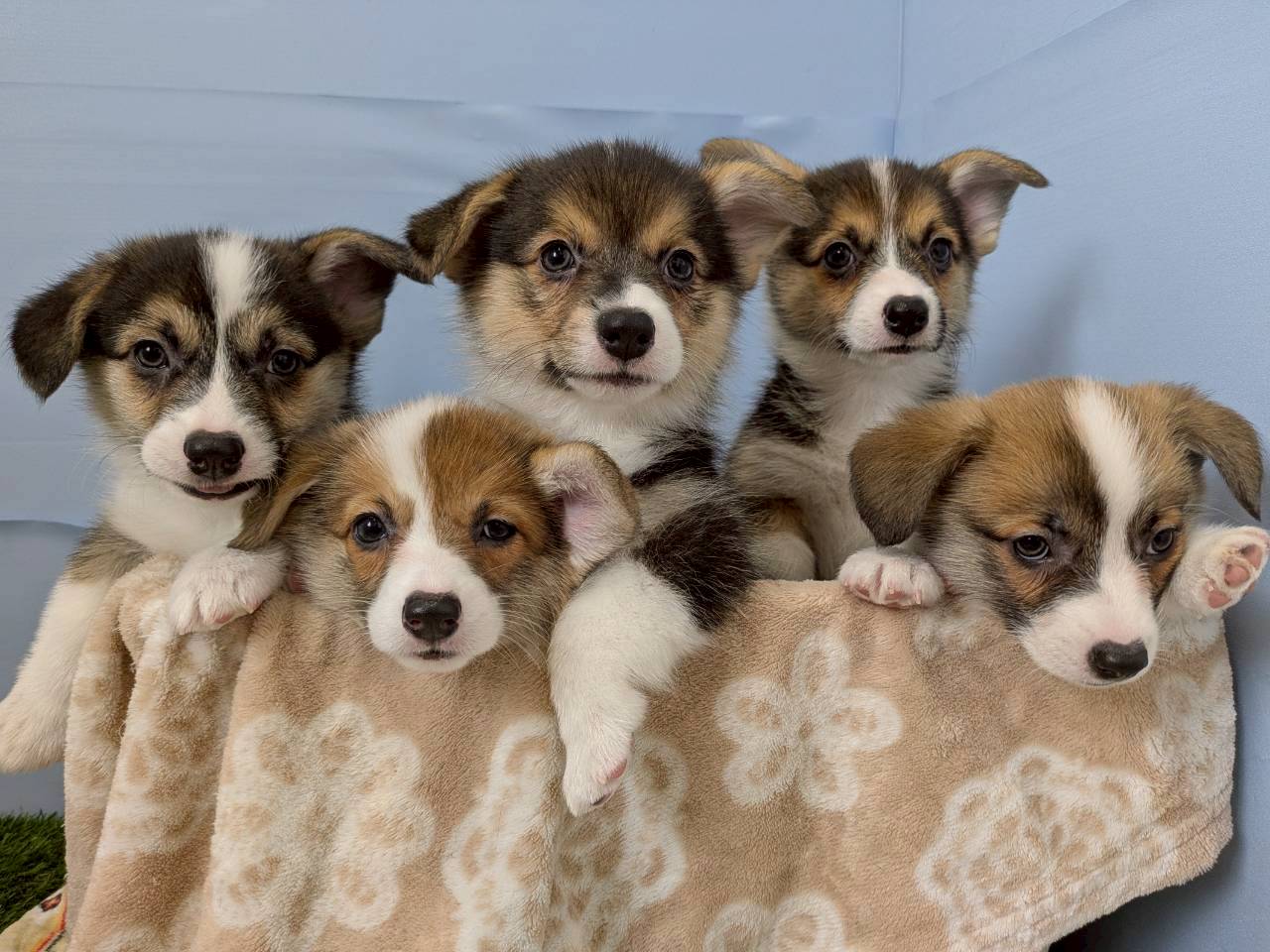 赤ちゃん写真3-3