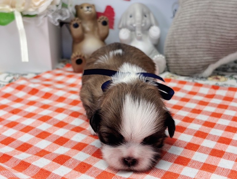 赤ちゃん写真1-1