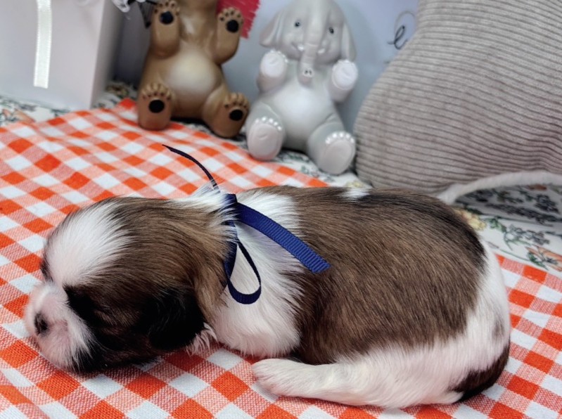 赤ちゃん写真1-2