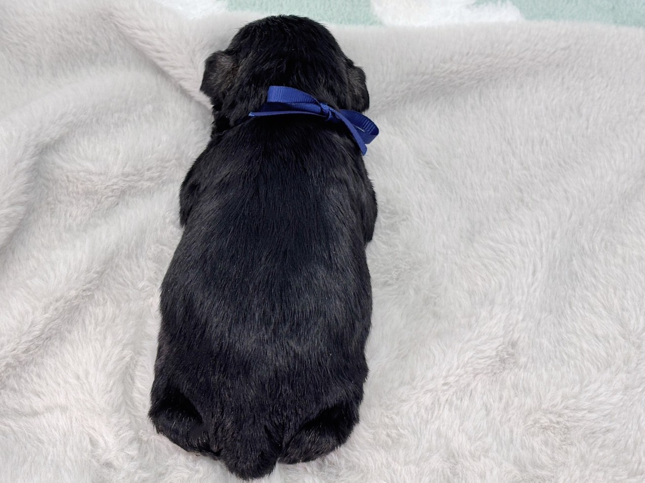 赤ちゃん写真1-3