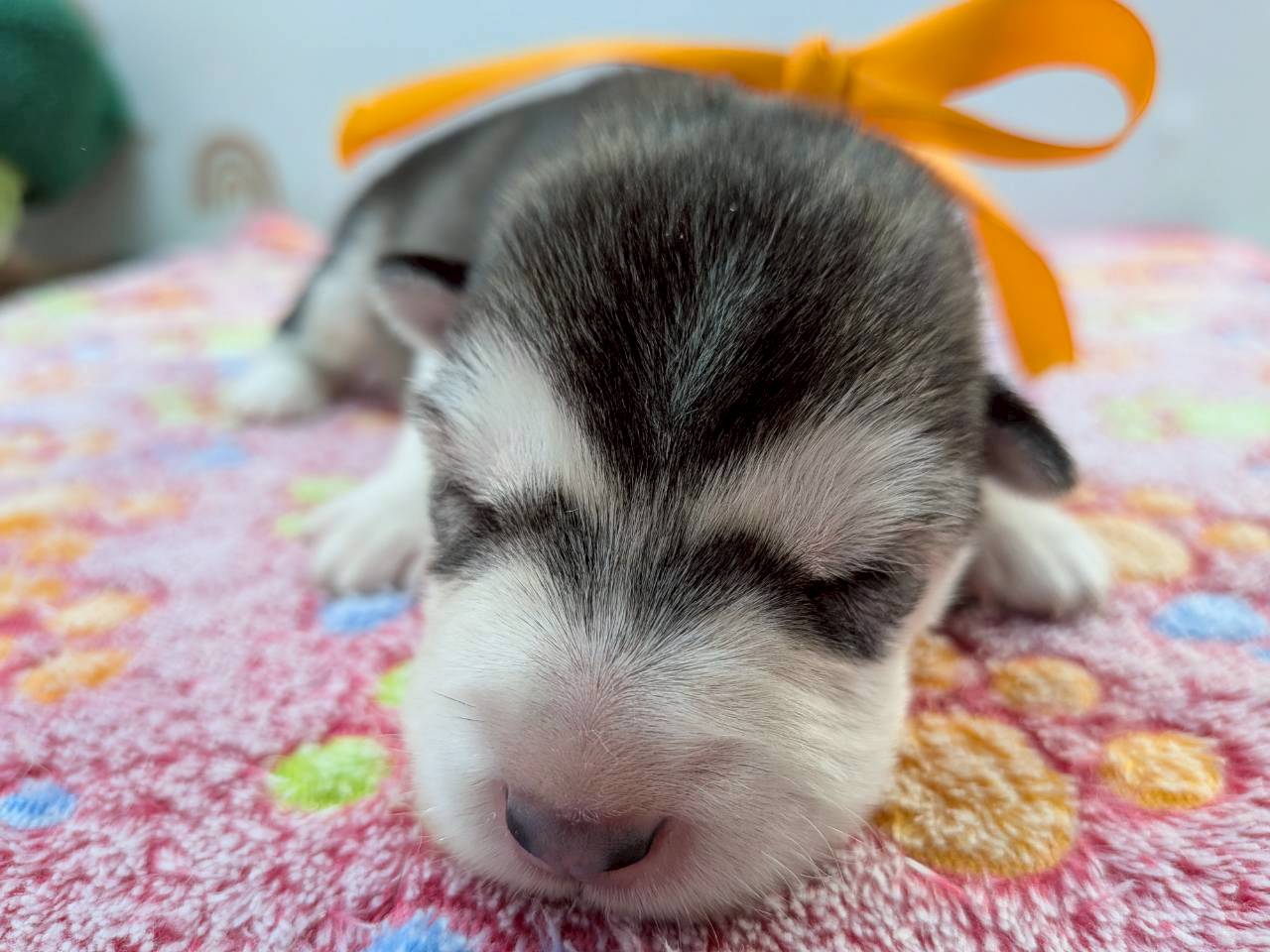 赤ちゃん写真1-1