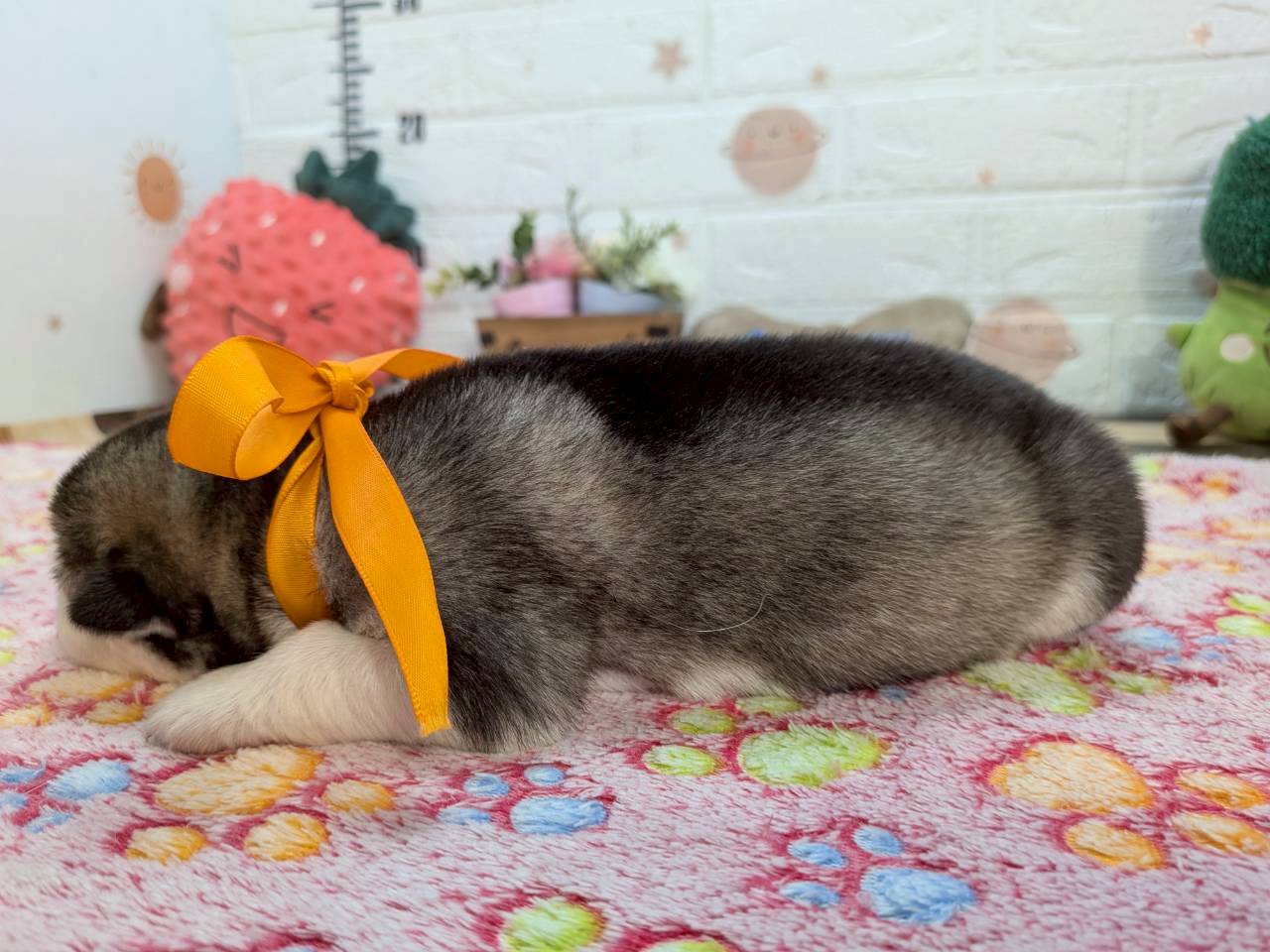 赤ちゃん写真1-2