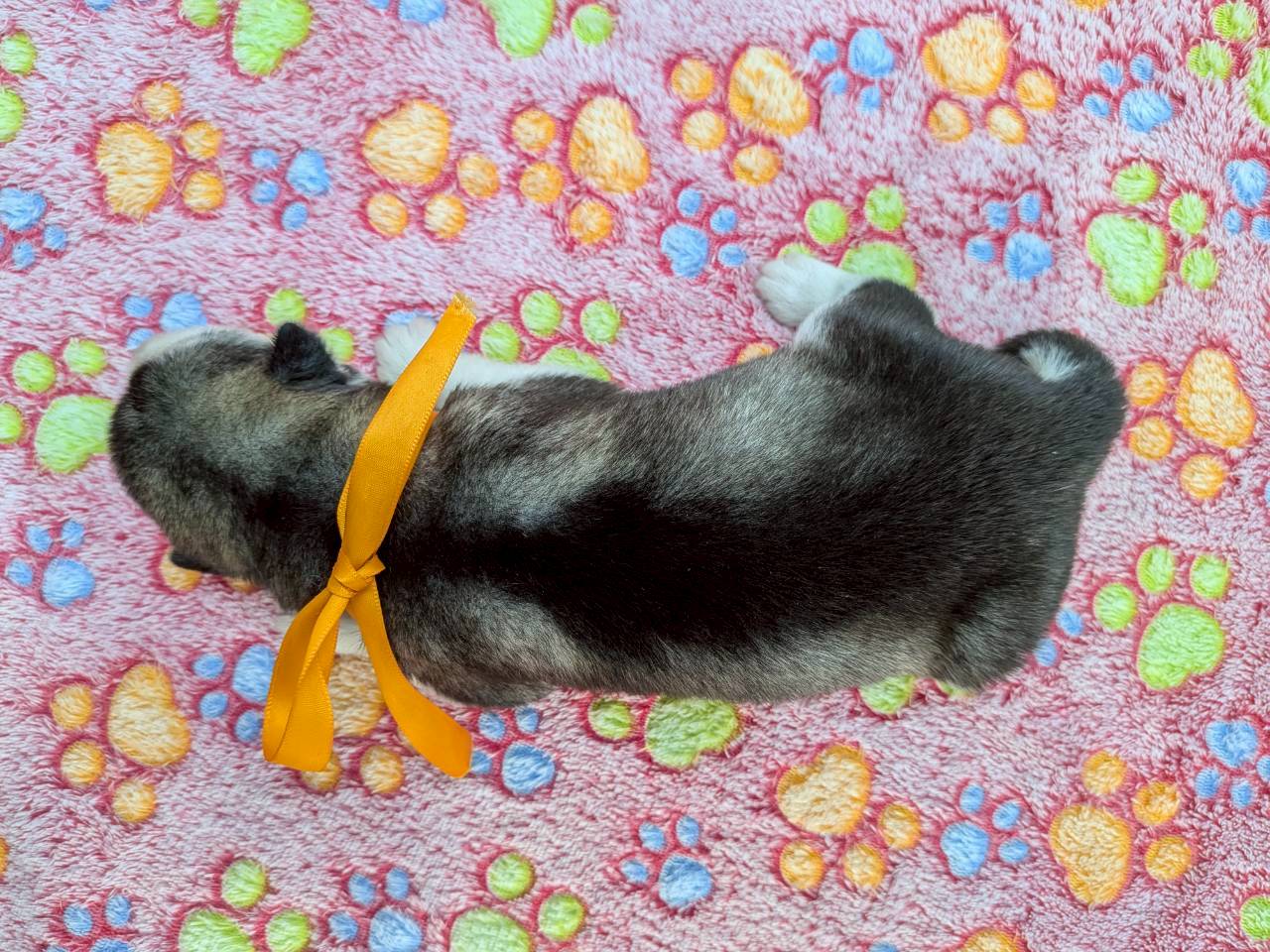 赤ちゃん写真1-3