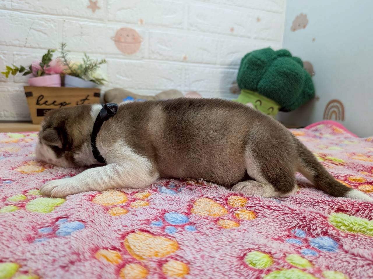 赤ちゃん写真1-2