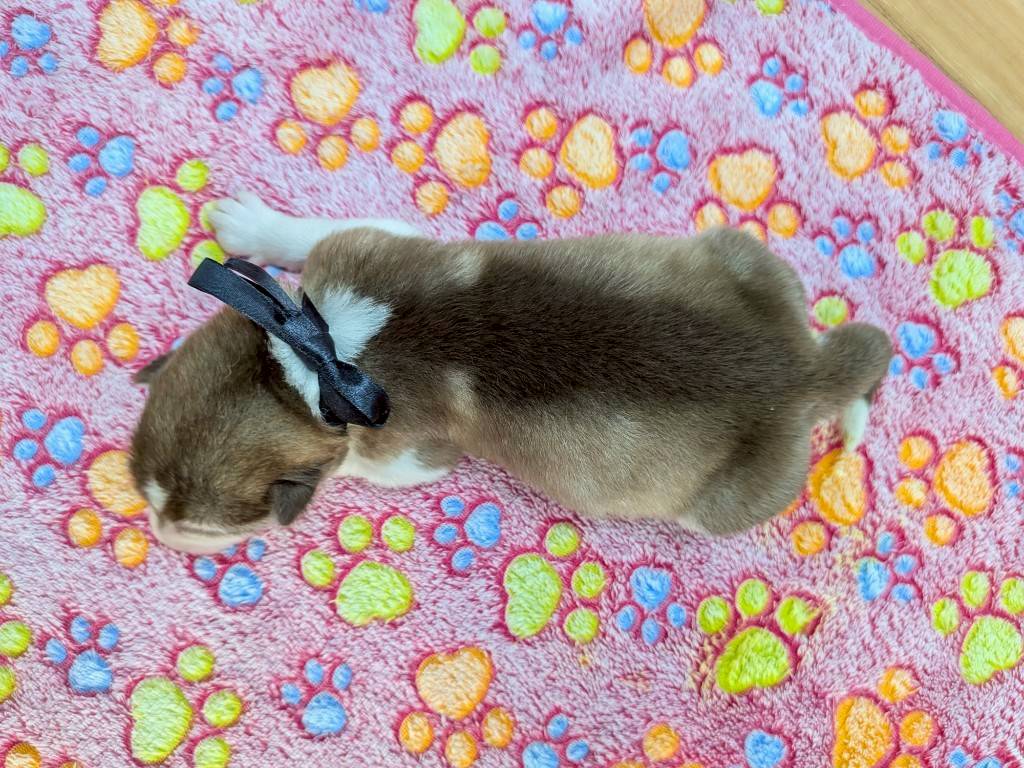 赤ちゃん写真1-3