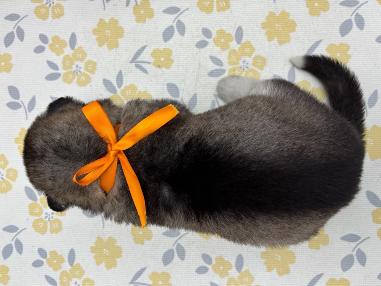 赤ちゃん写真2-3