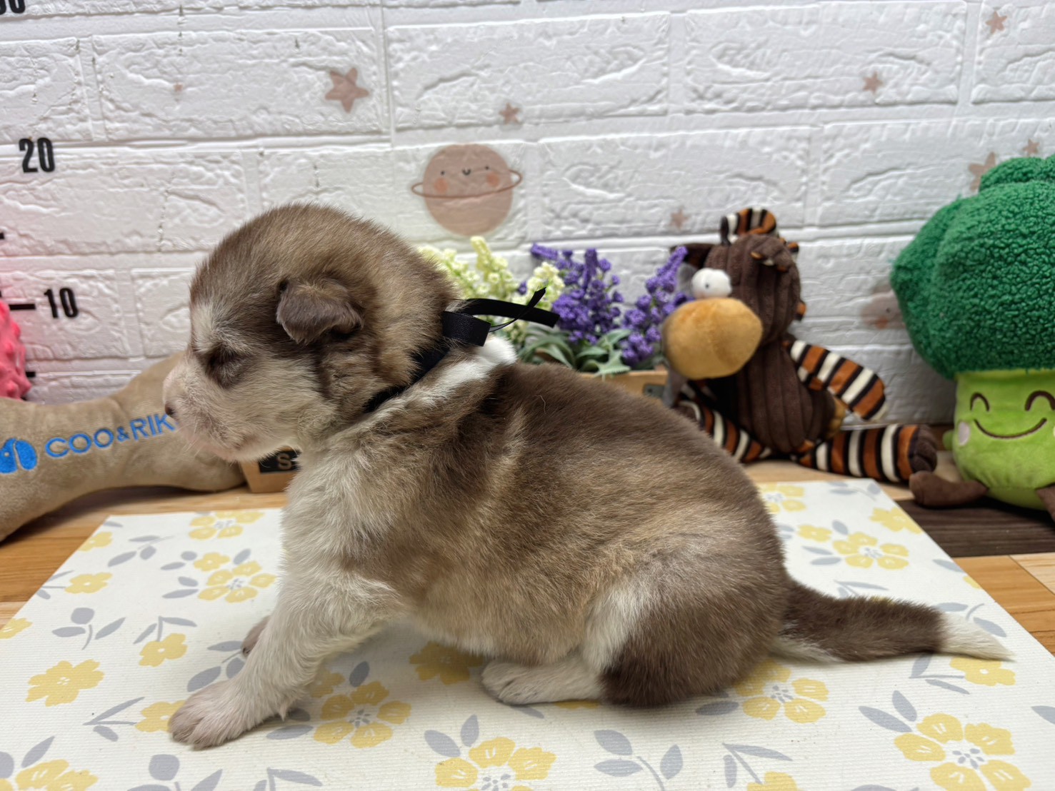 赤ちゃん写真2-2