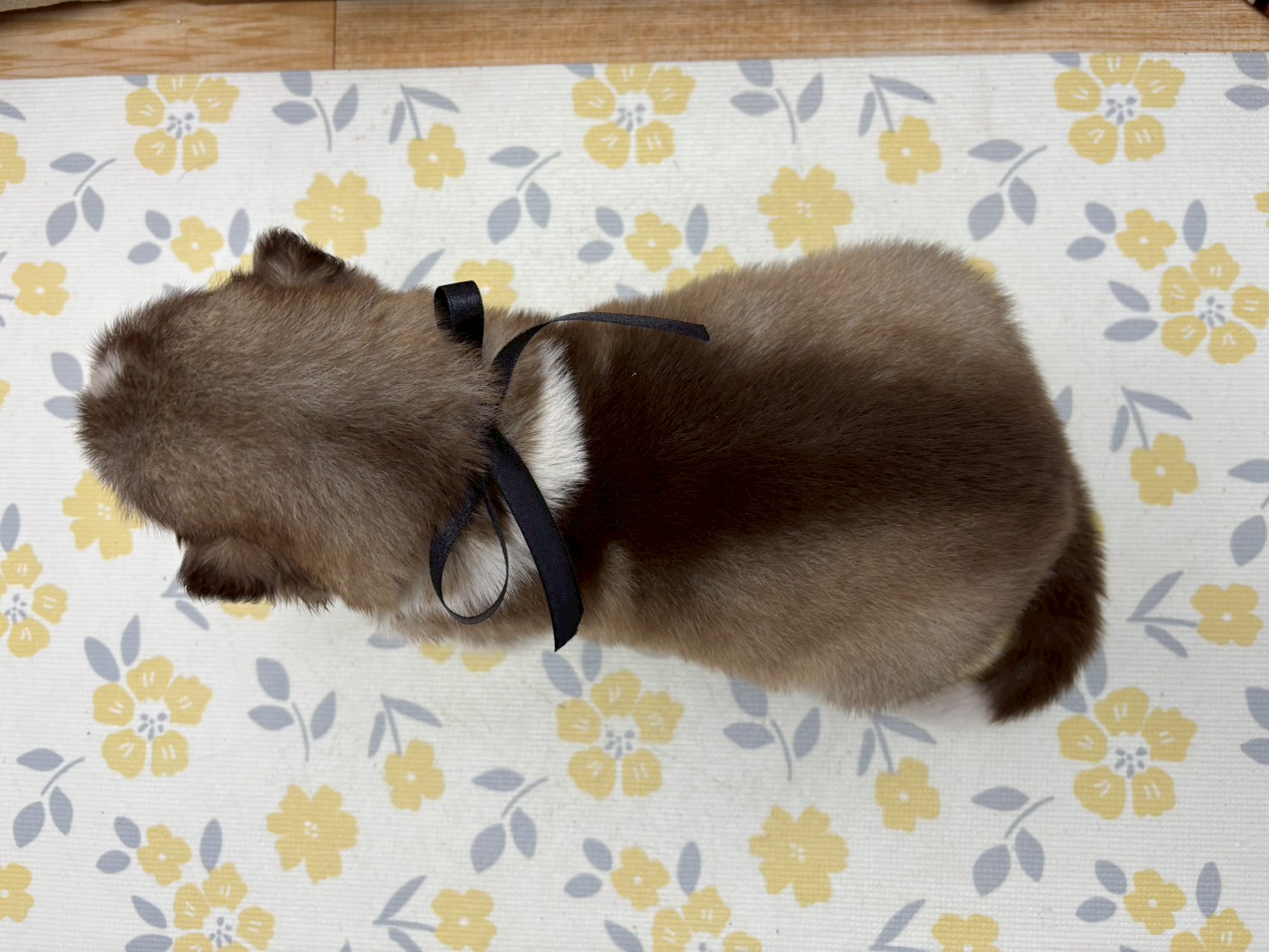 赤ちゃん写真2-3