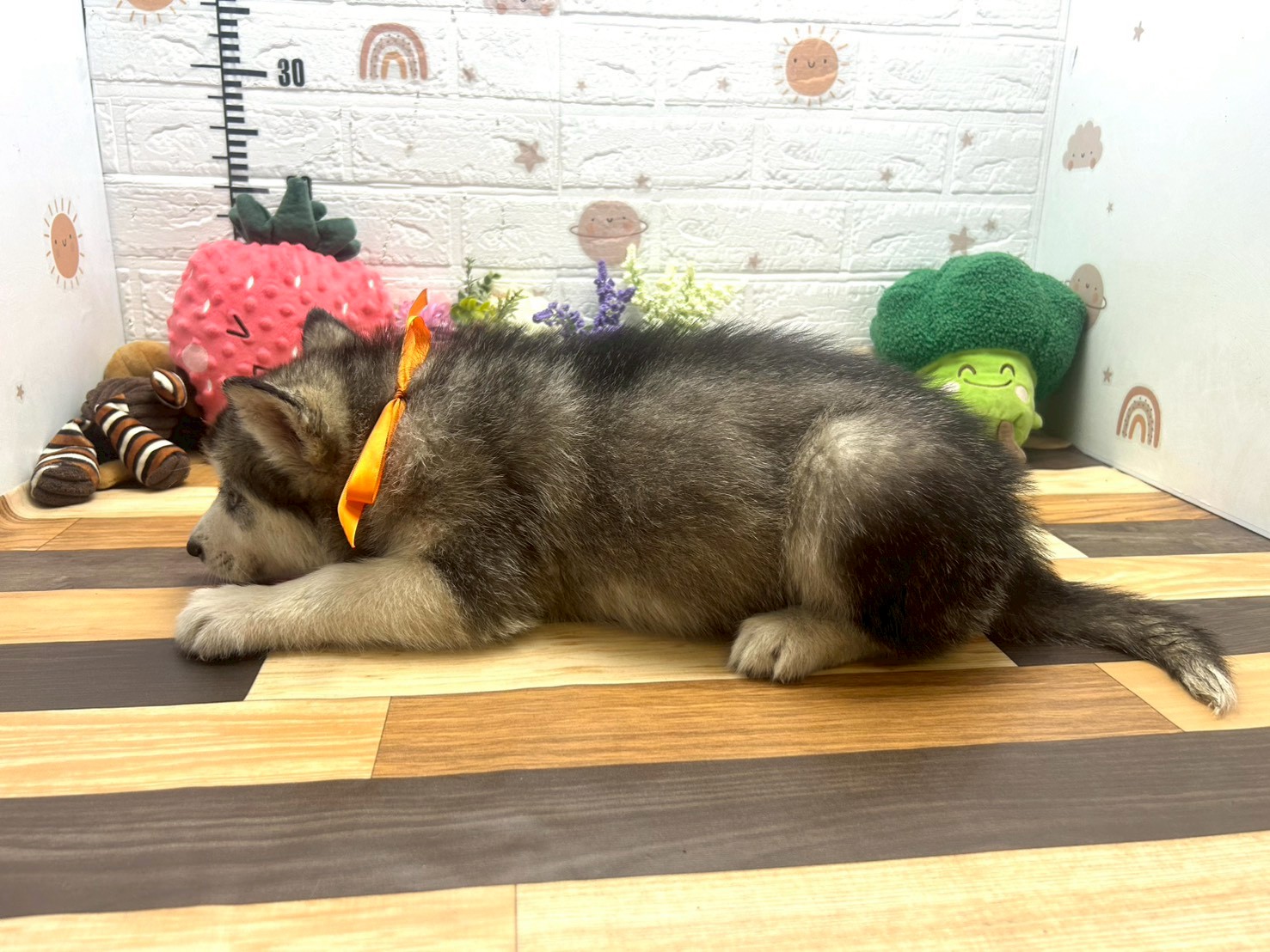 赤ちゃん写真3-2