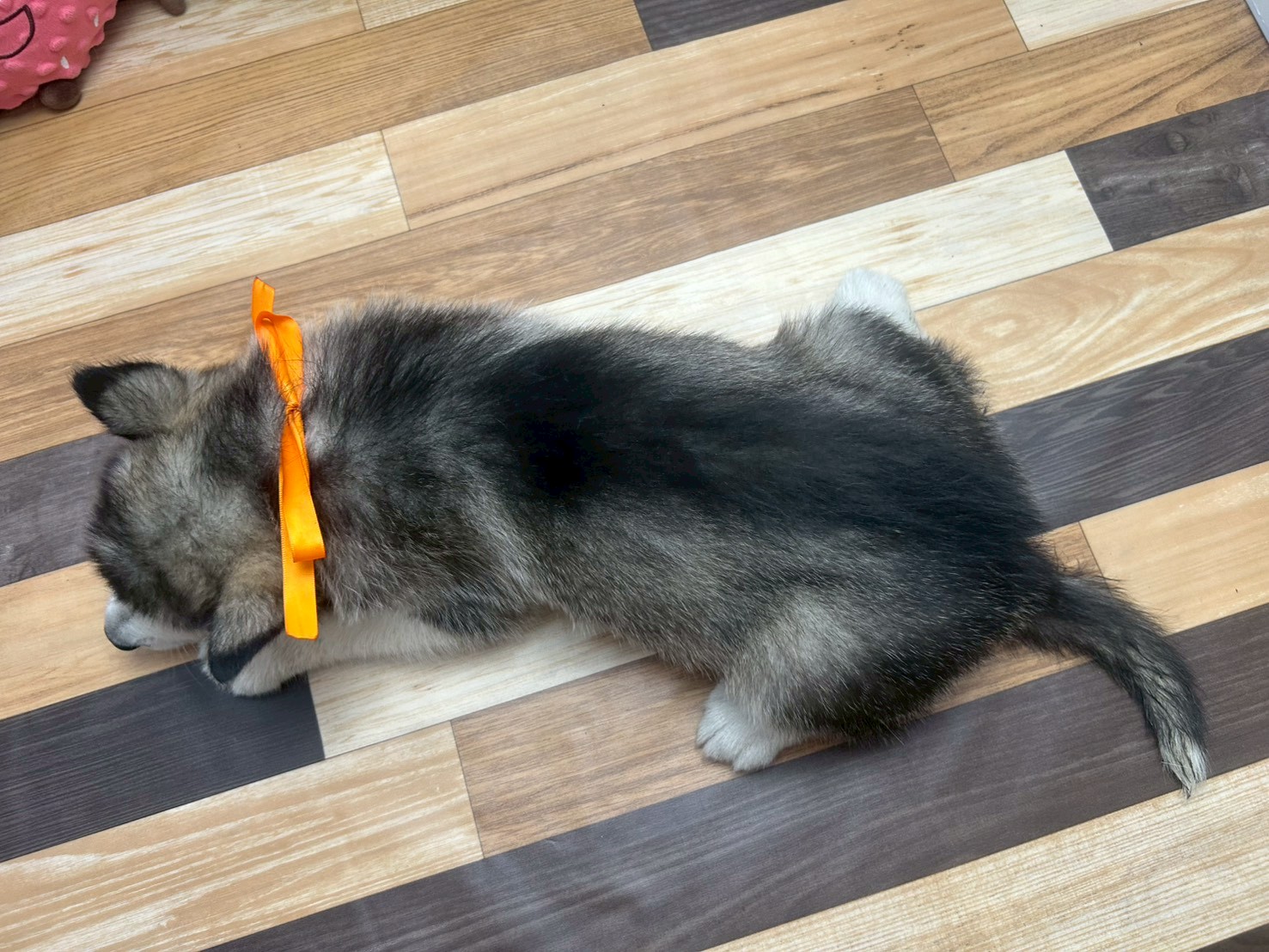 赤ちゃん写真3-3