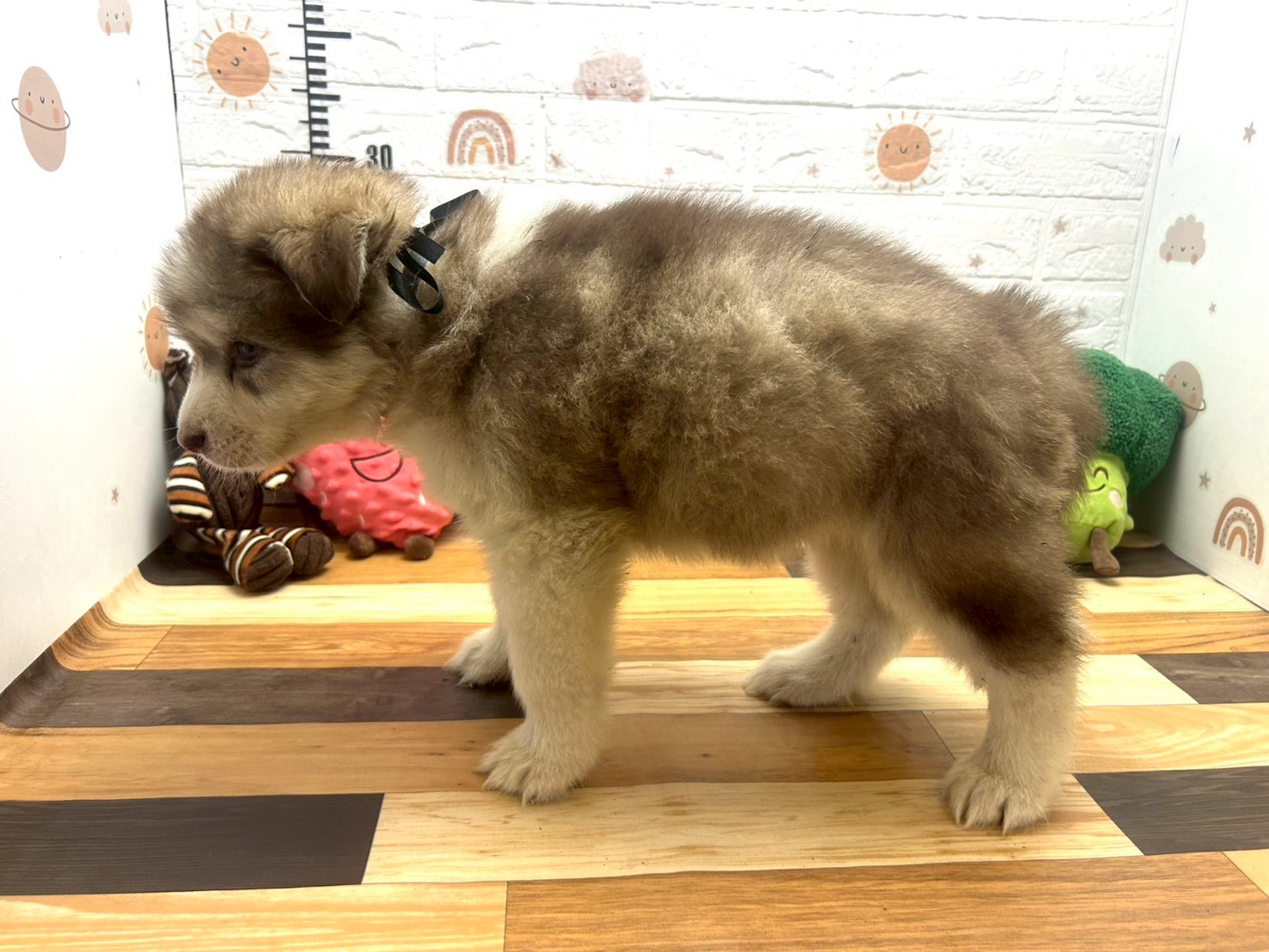 赤ちゃん写真3-2