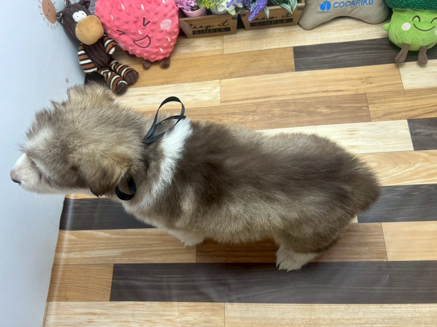 赤ちゃん写真3-3