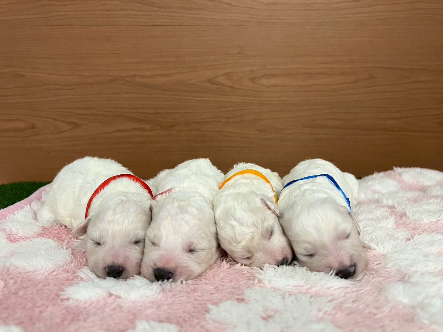 赤ちゃん写真1-3