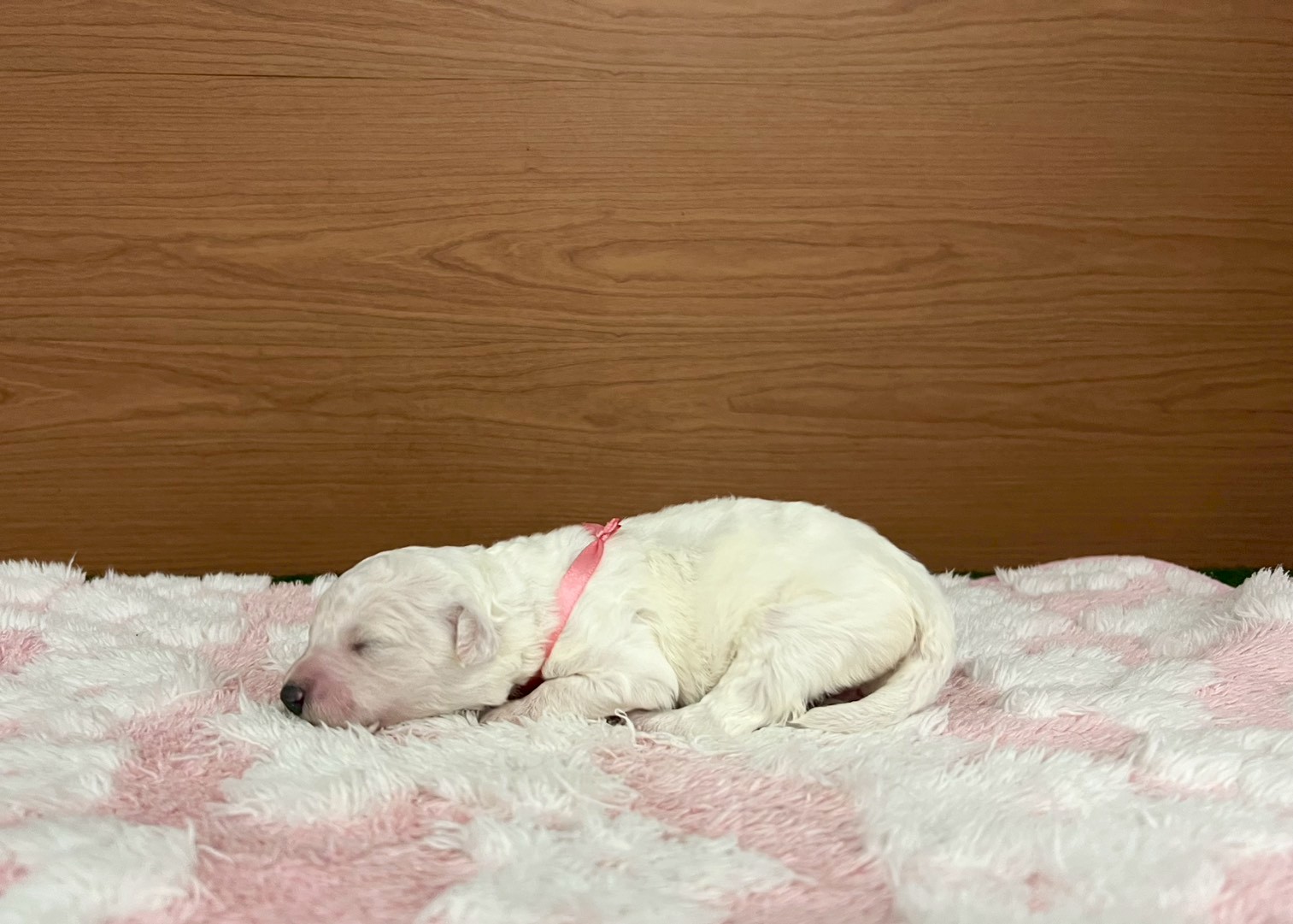赤ちゃん写真1-2
