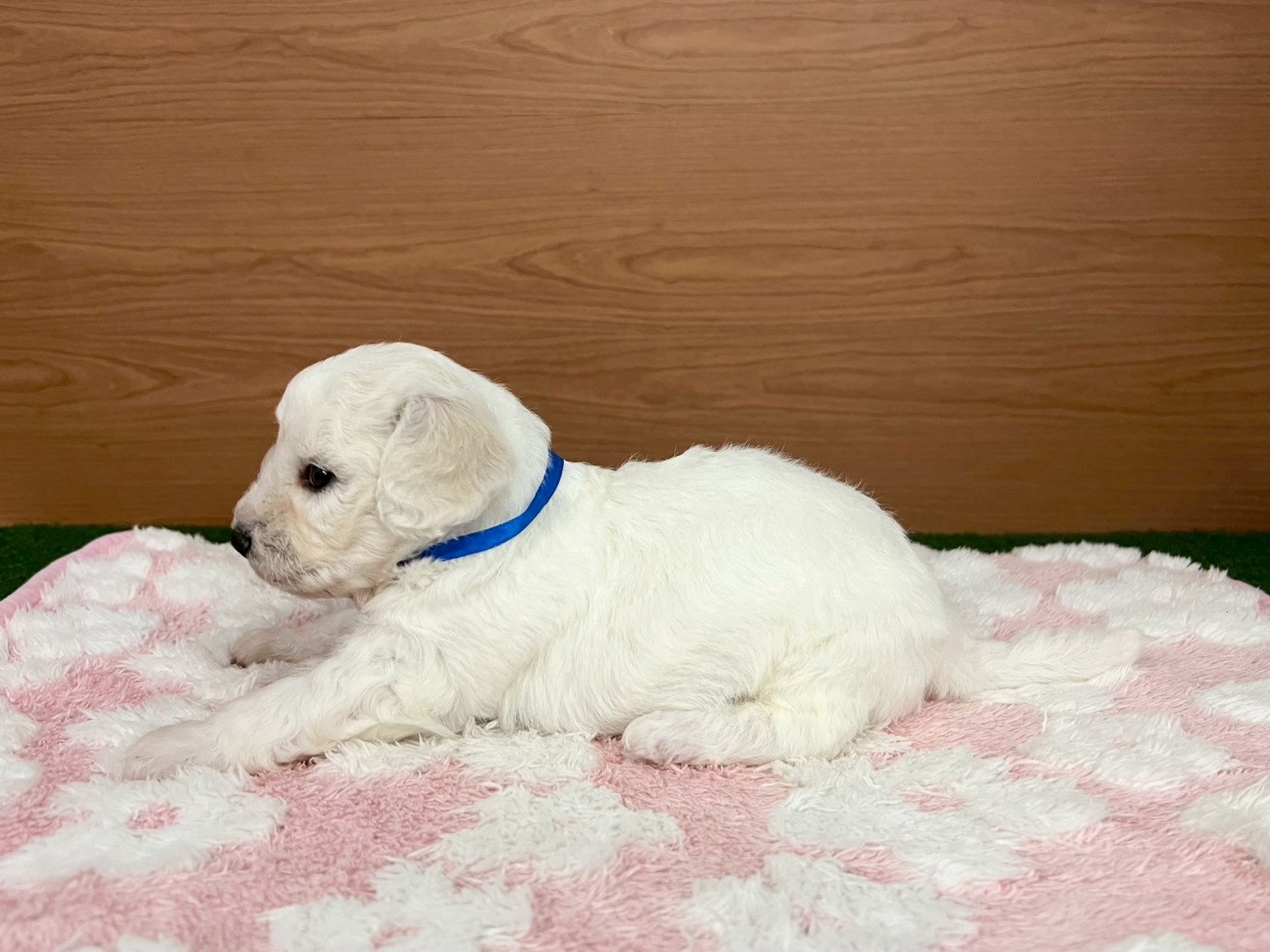 赤ちゃん写真2-2