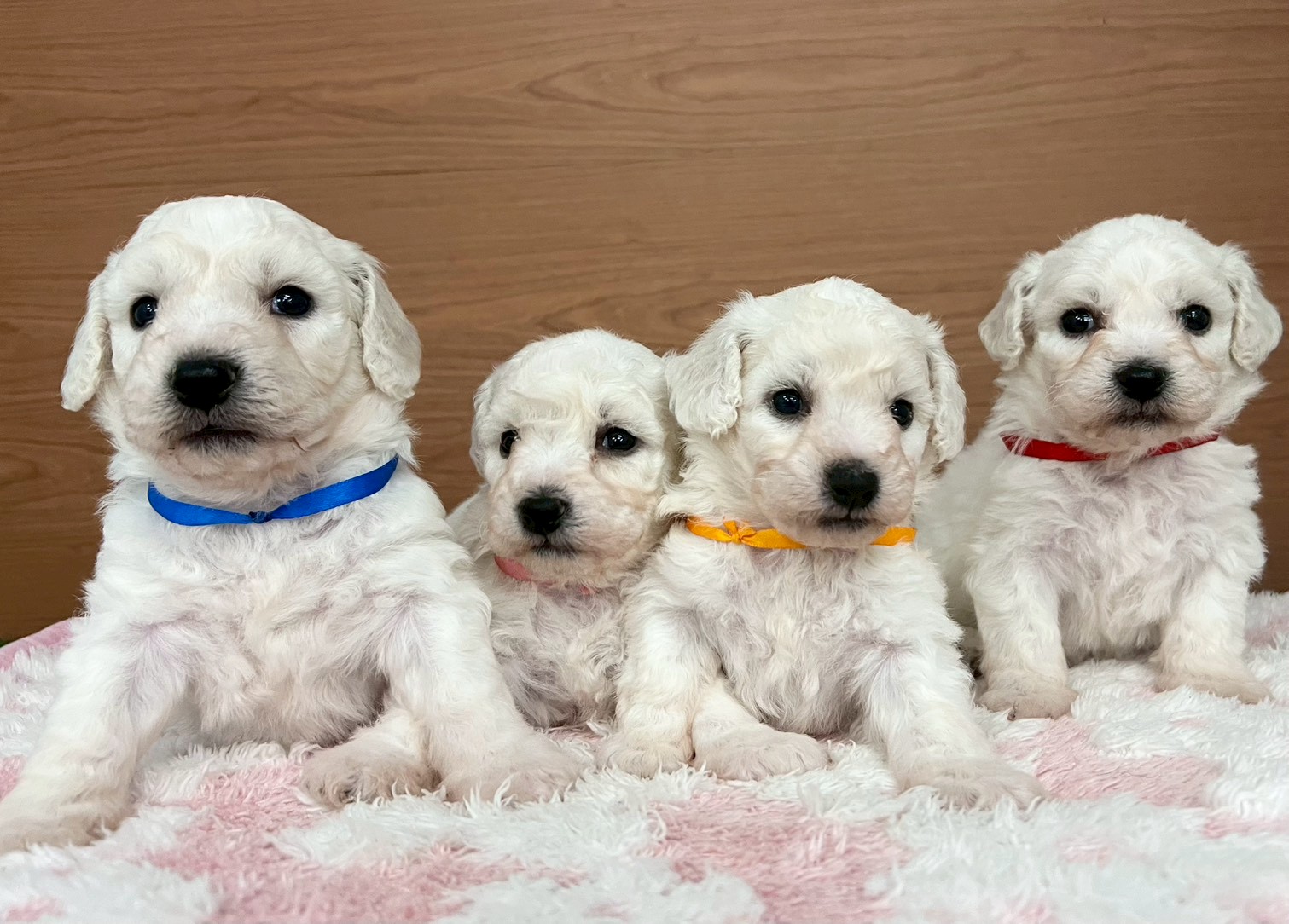 赤ちゃん写真2-3