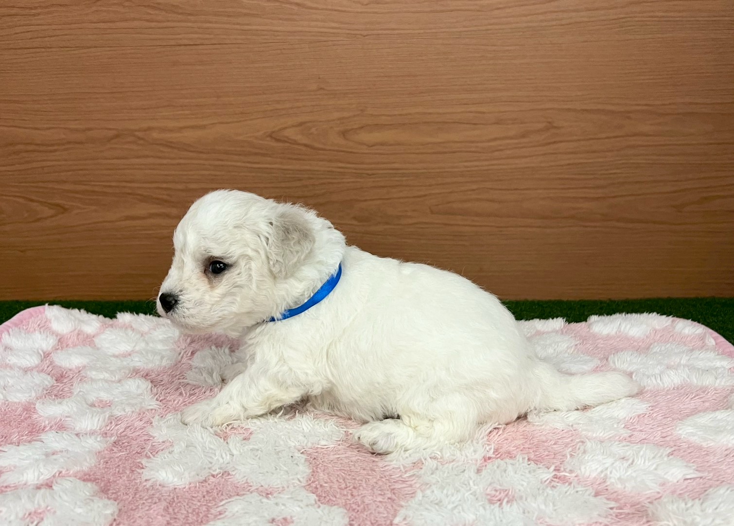 赤ちゃん写真2-2