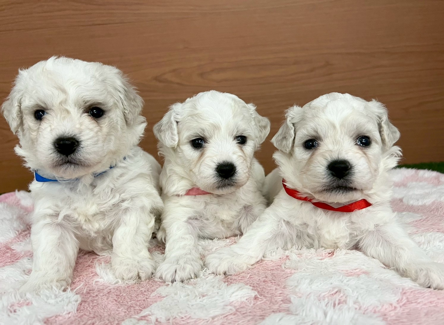 赤ちゃん写真2-3