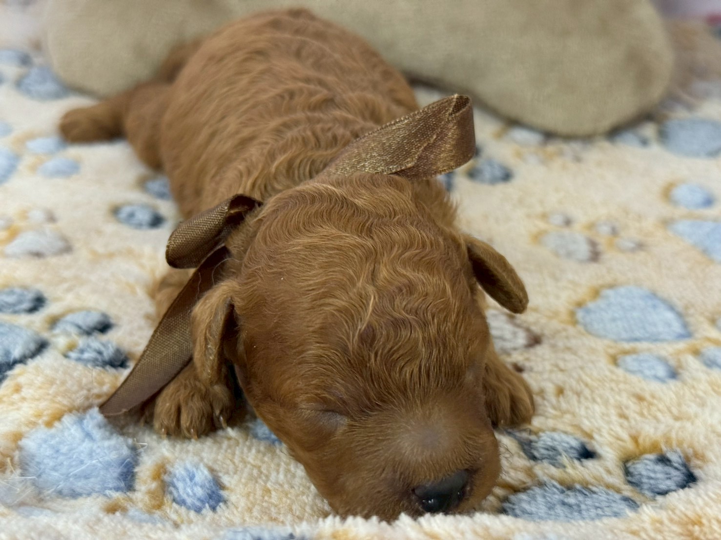 赤ちゃん写真1-1